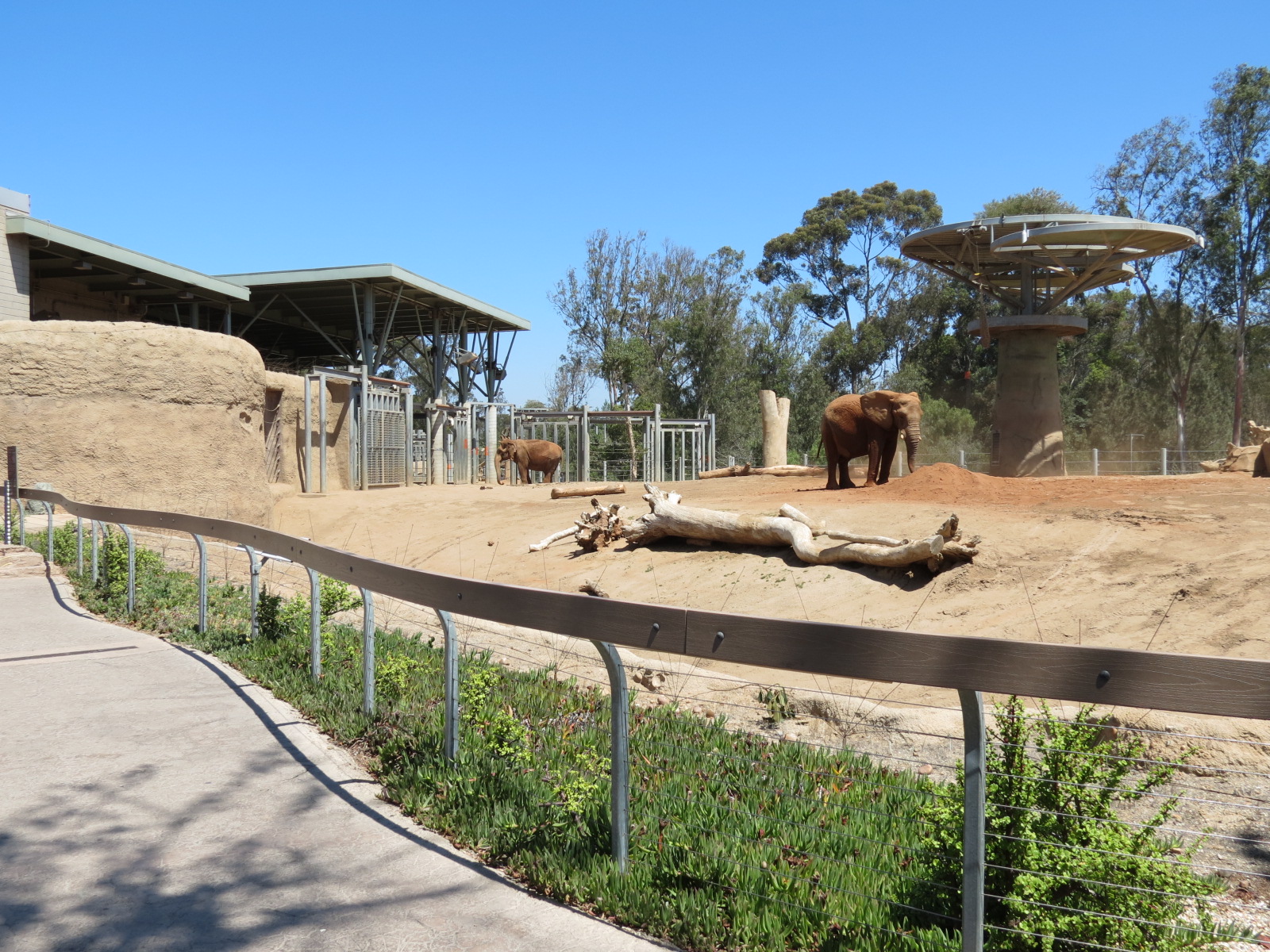 Elephant Odyssey - African and Asian Elephant Exhibit 1