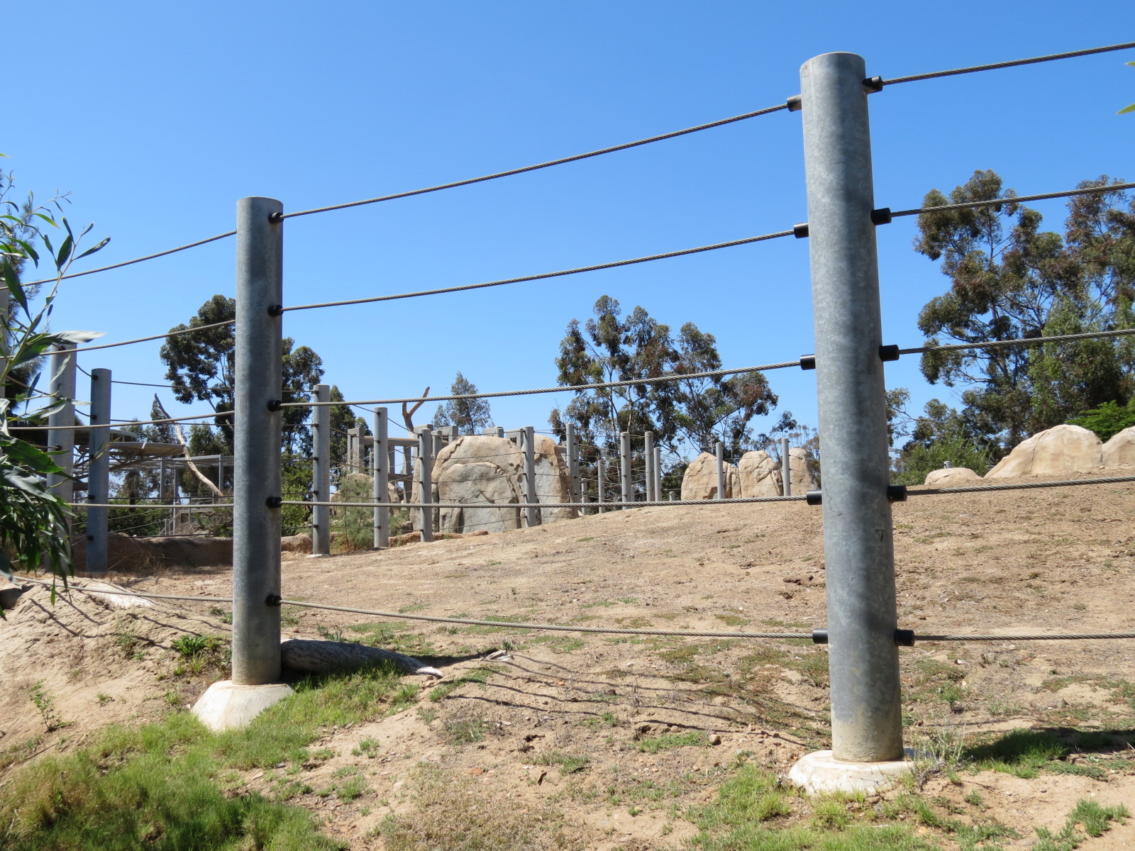 Elephant Odyssey - African and Asian Elephant Exhibit 3