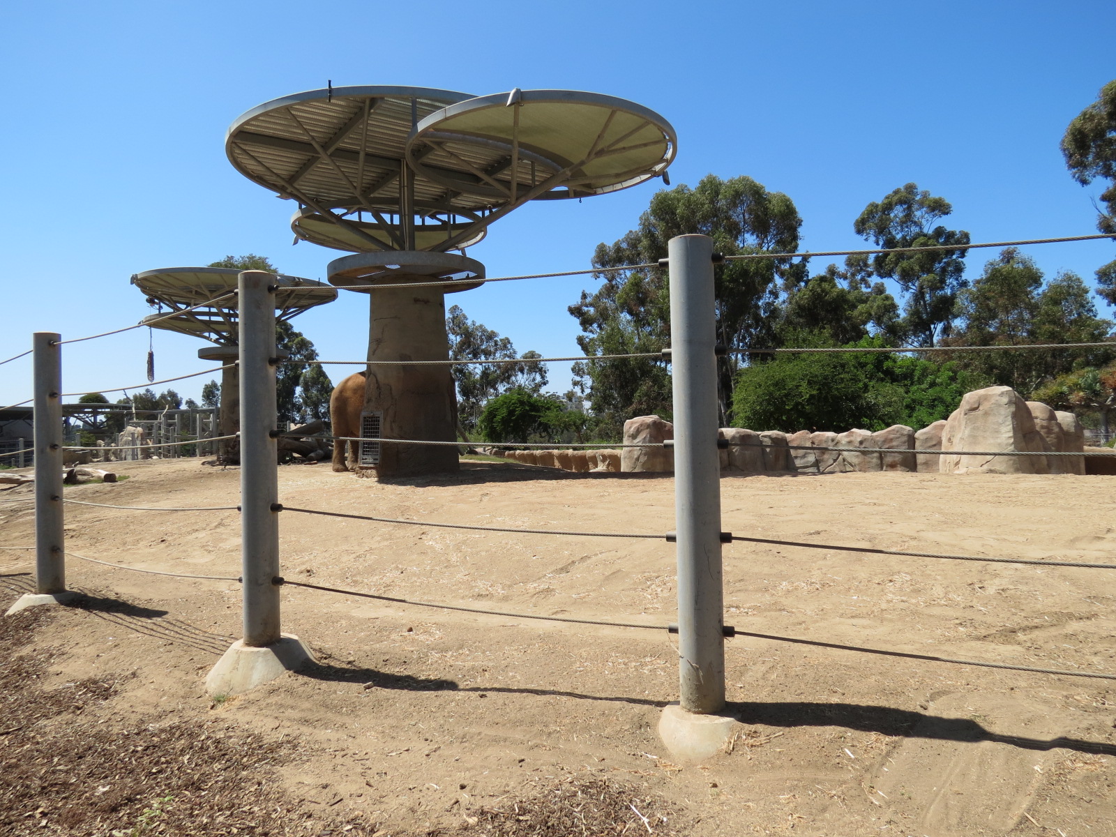 Elephant Odyssey - African and Asian Elephant Exhibit 3