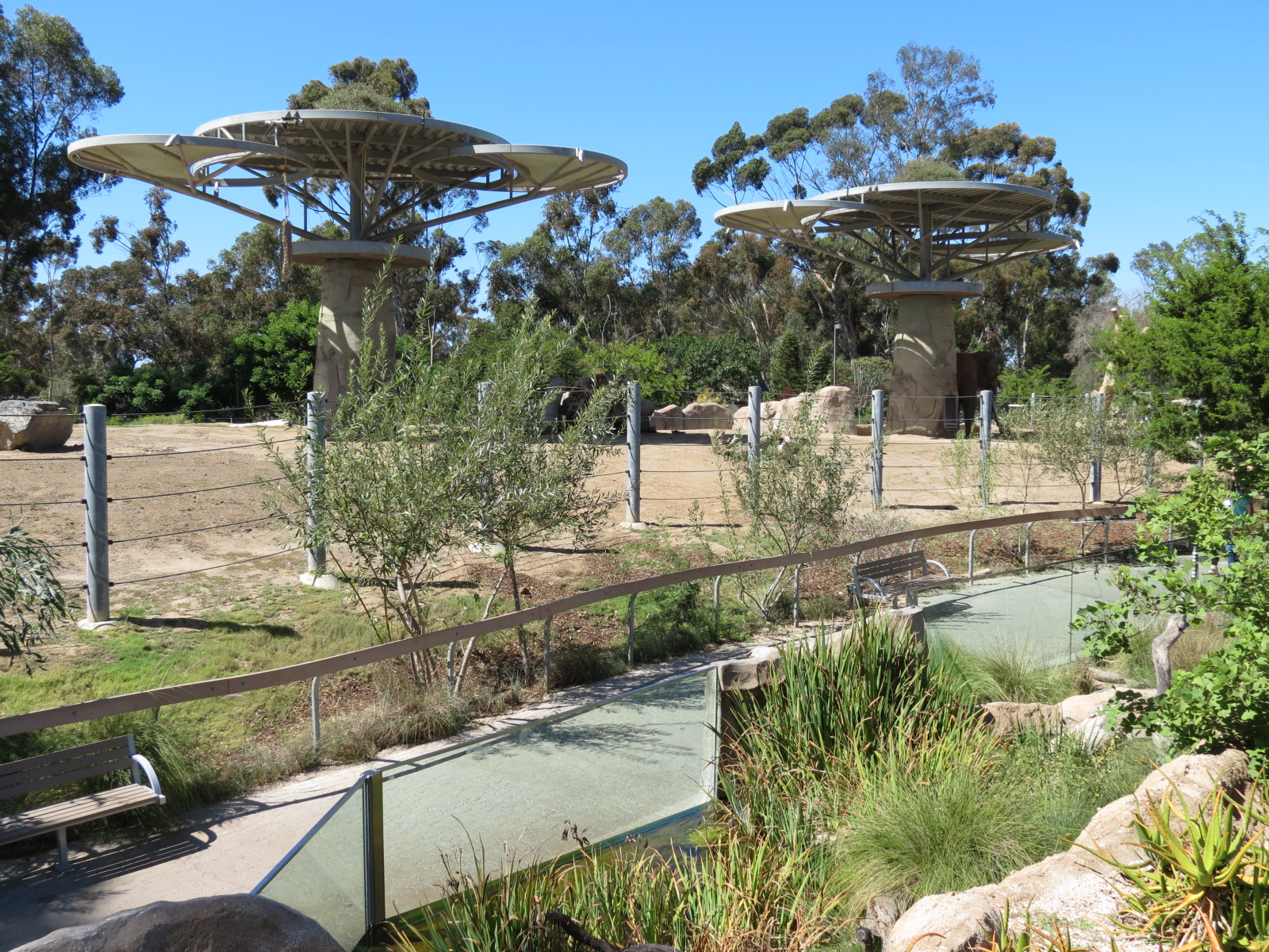 Elephant Odyssey - African and Asian Elephant Exhibit 3