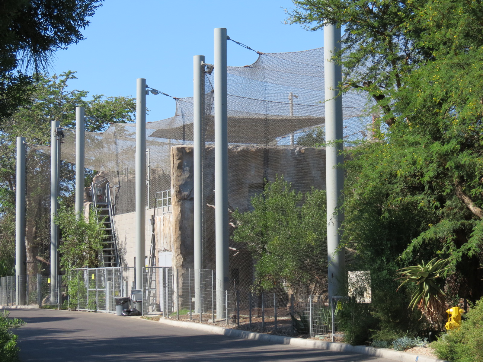 Elephant Odyssey - African Lion and Jaguar Exhibits facing Bus Tour Road