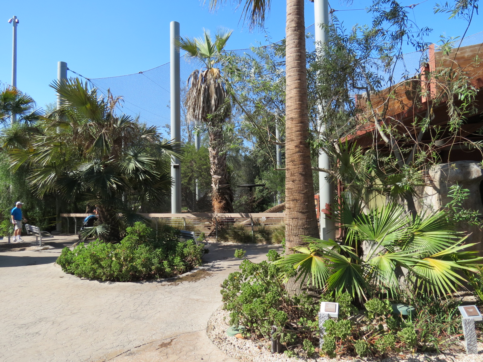 Elephant Odyssey - African Lion Exhibit