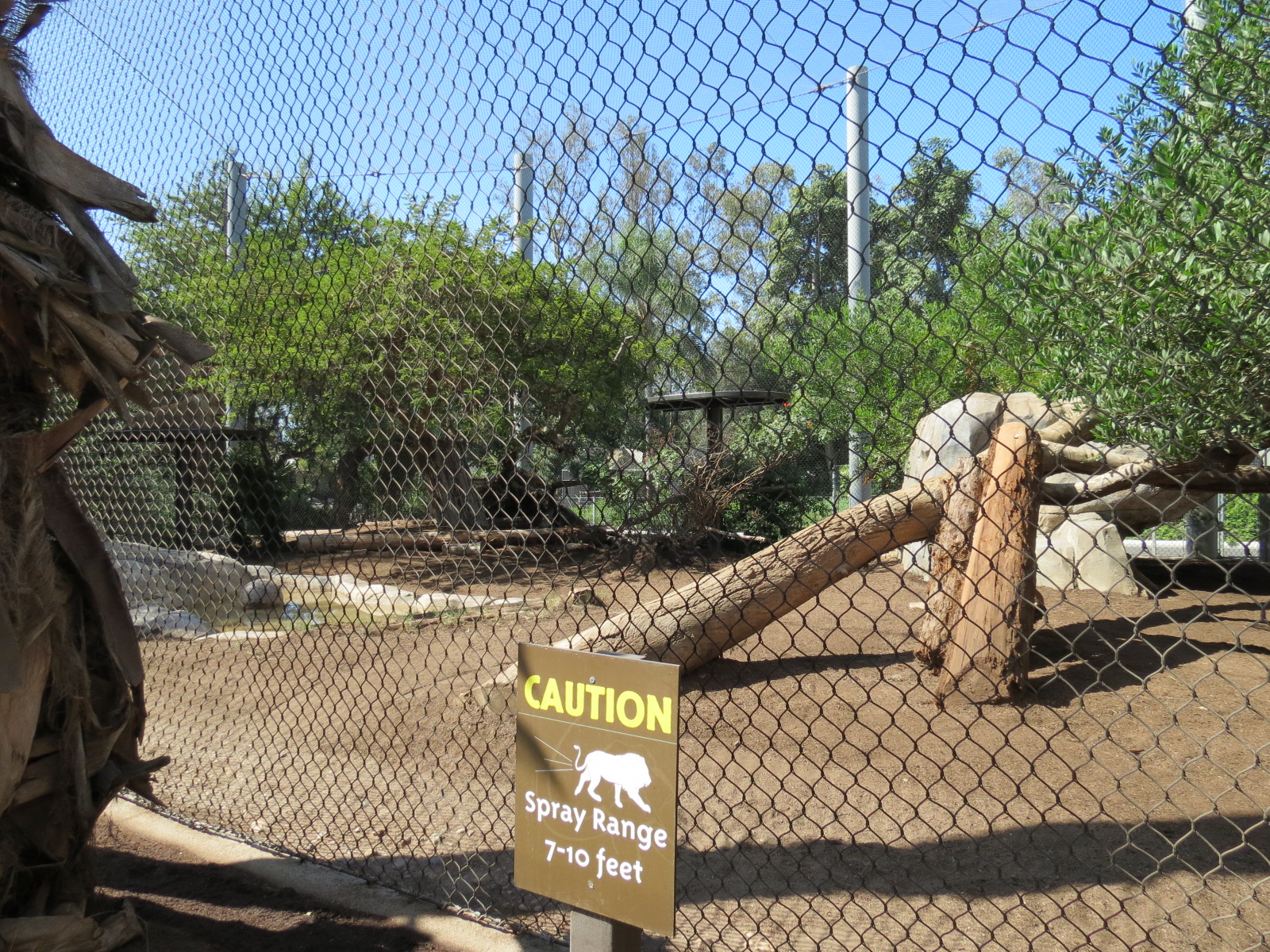 Elephant Odyssey - African Lion Exhibit