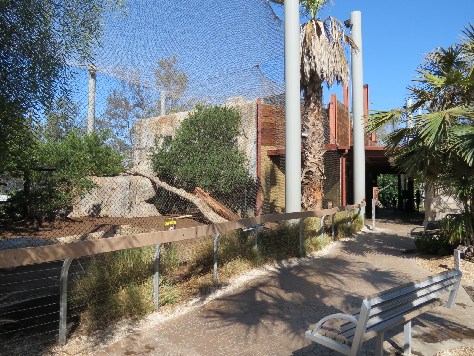 Elephant Odyssey - African Lion Exhibit