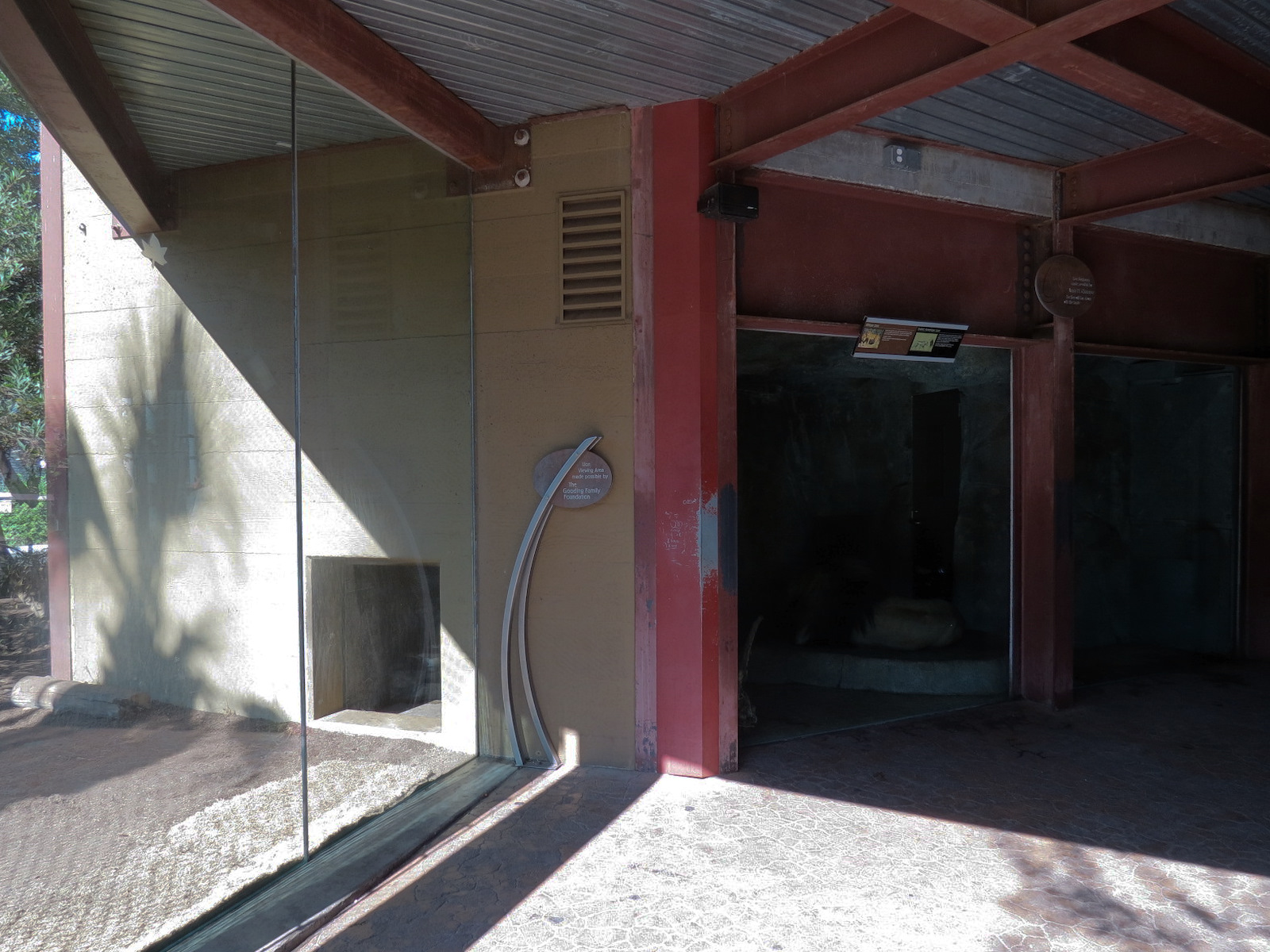 Elephant Odyssey - African Lion Exhibit