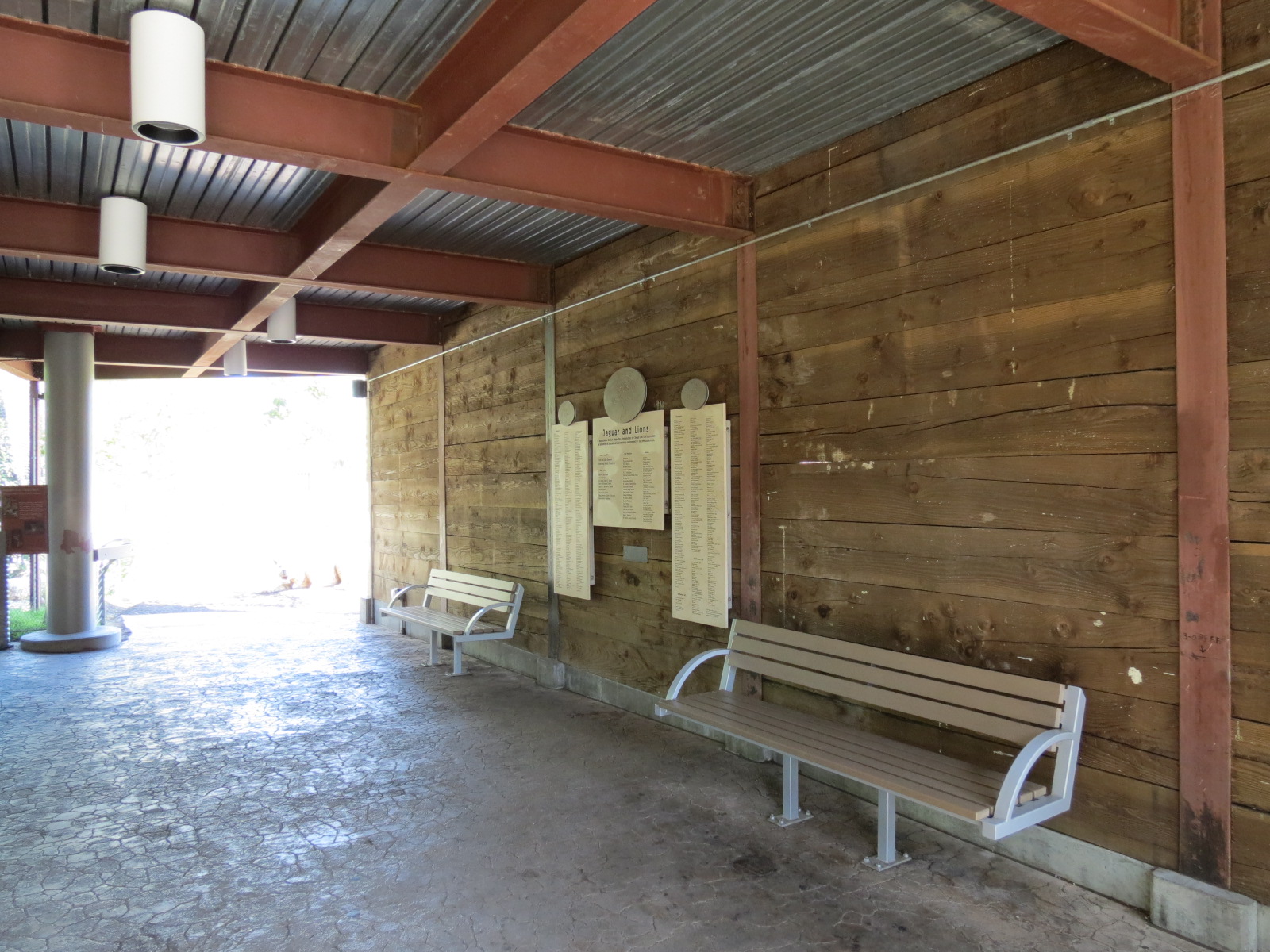 Elephant Odyssey - African Lion Exhibit