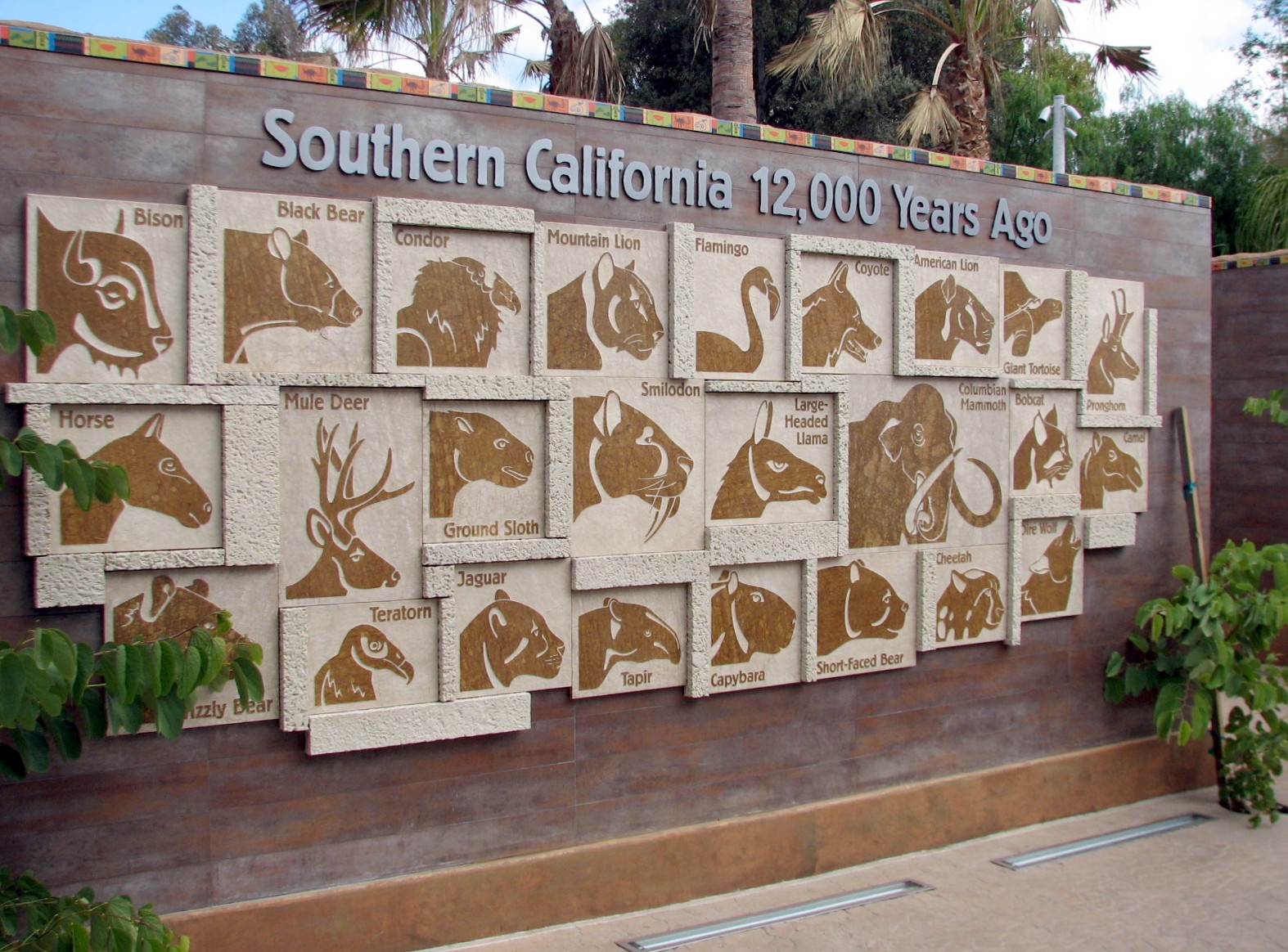 Elephant Odyssey - Animal Portraits