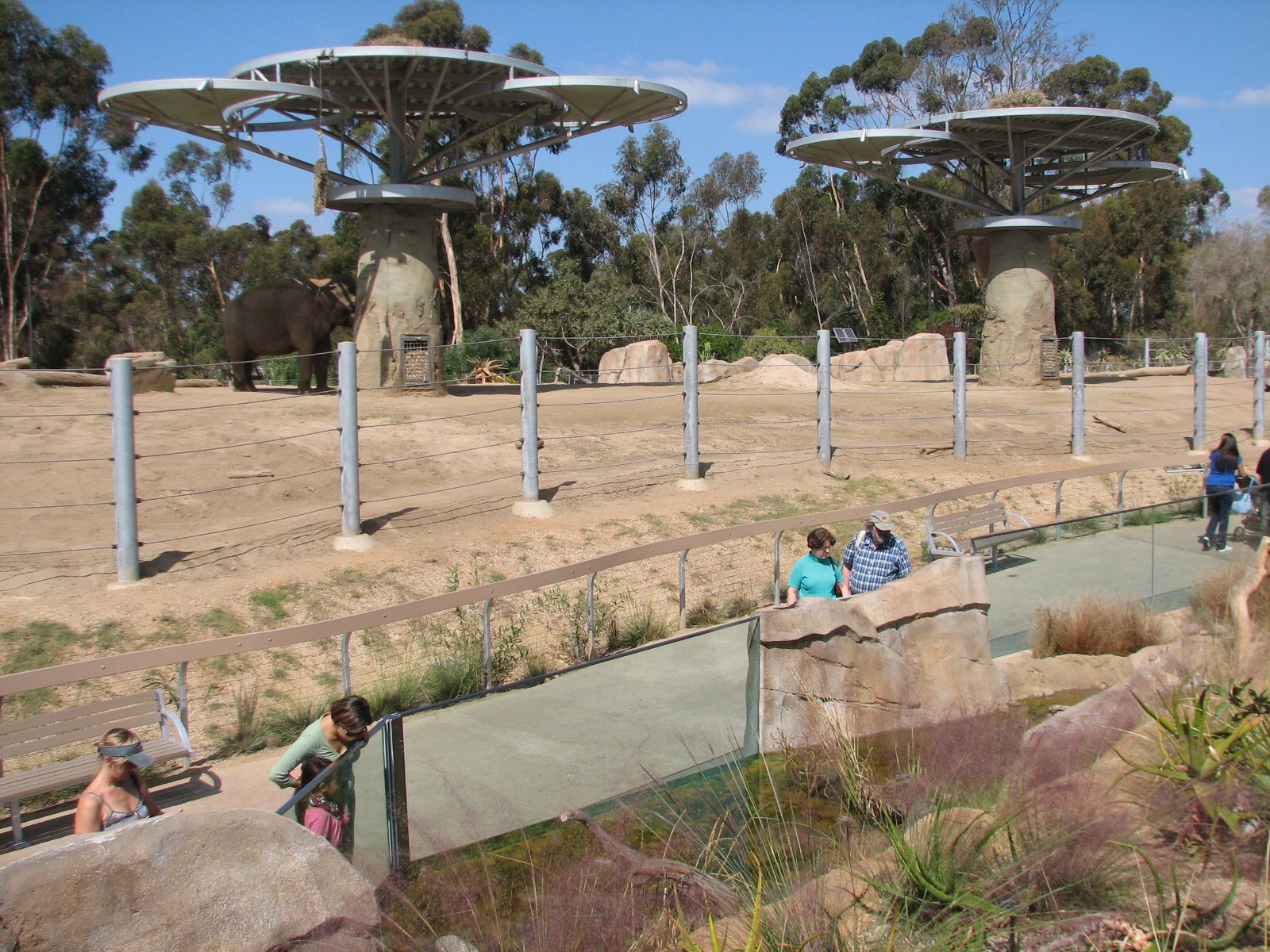 Elephant Odyssey - Asian Elephant Exhibit Near Stream Exhibit