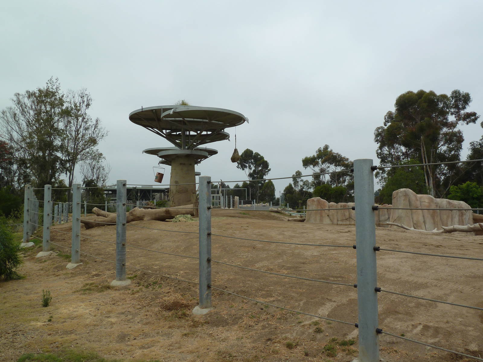 Elephant Odyssey - Asian Elephant Exhibit
