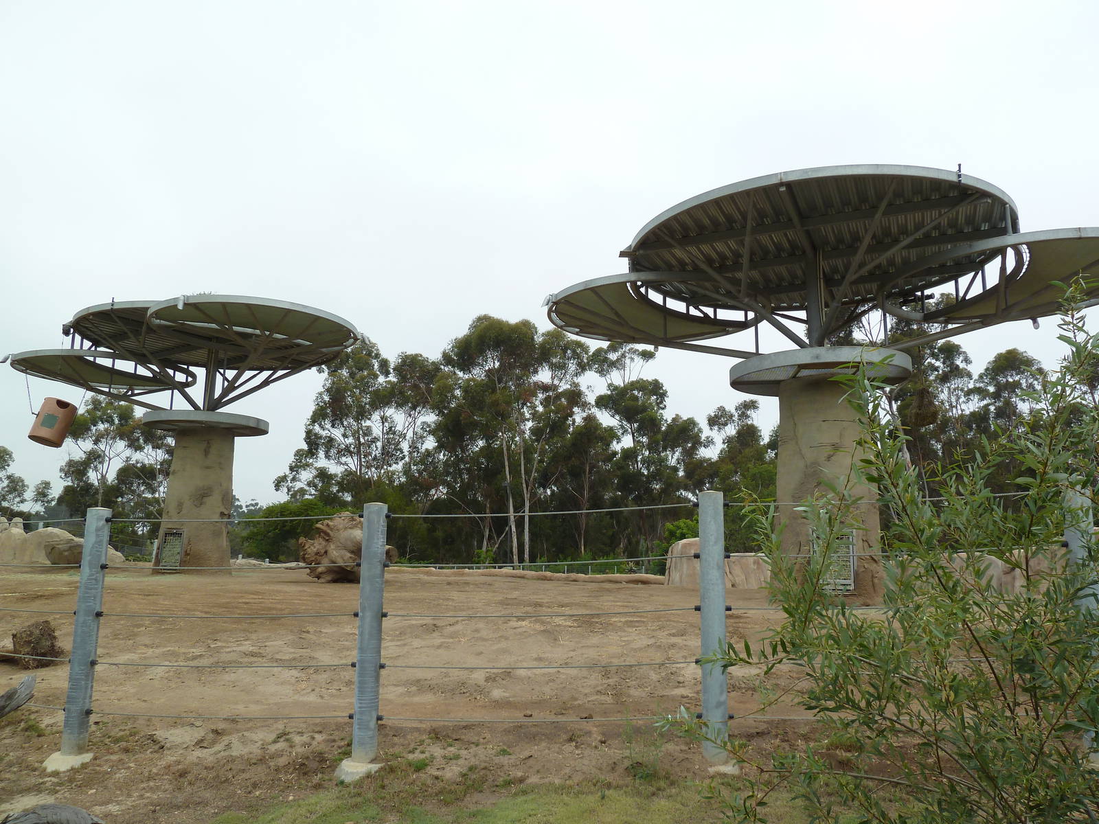 Elephant Odyssey - Asian Elephant Exhibit