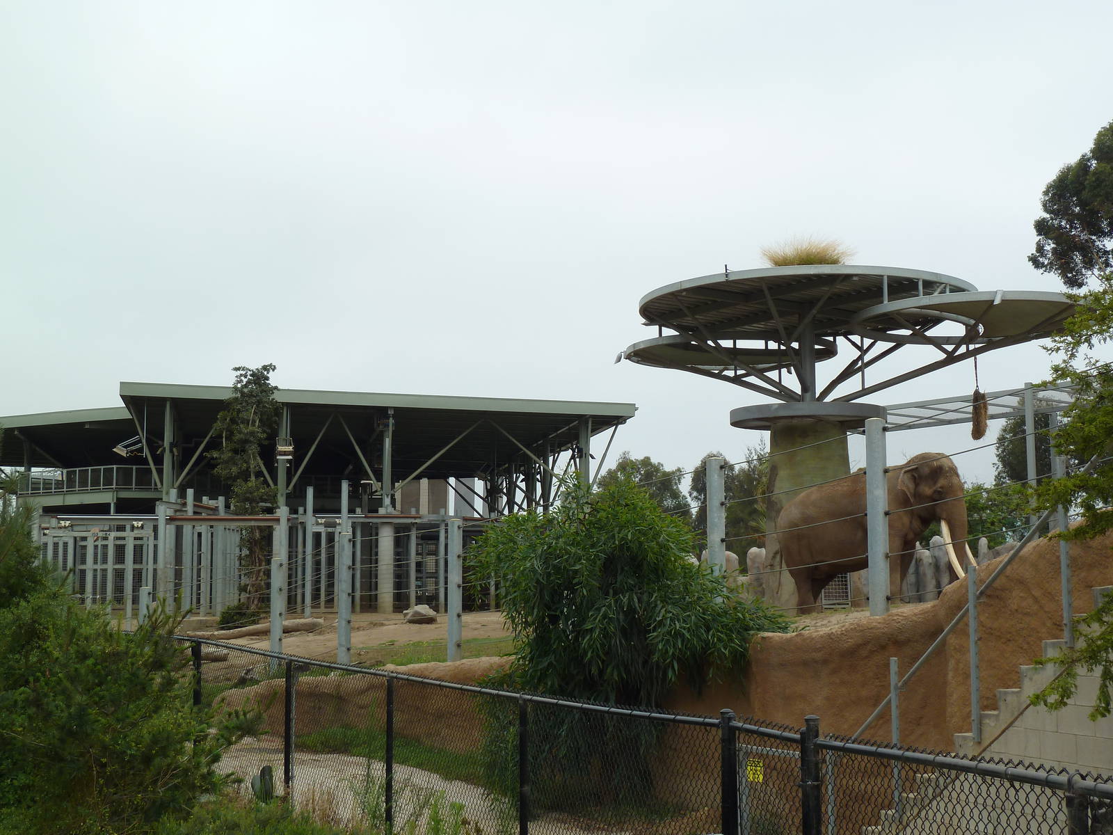 Elephant Odyssey - Asian Elephant Exhibit