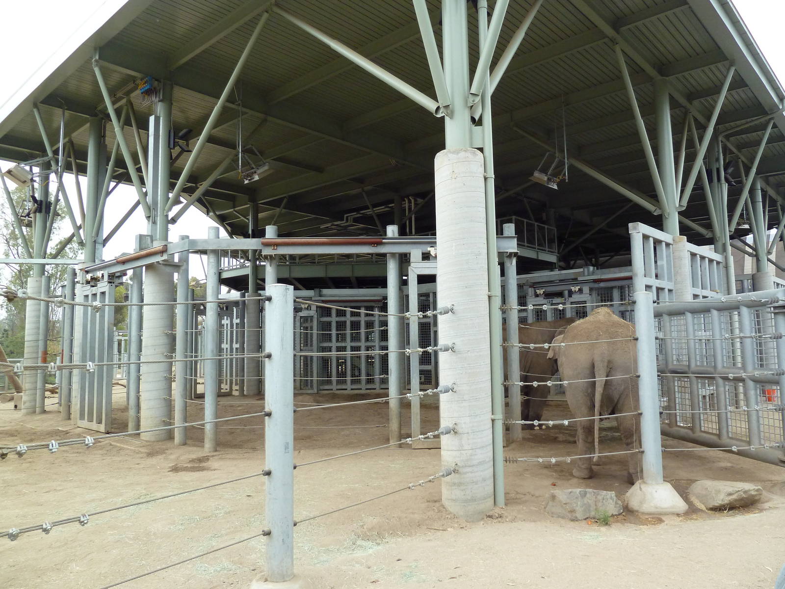 Elephant Odyssey - Asian Elephant Exhibit