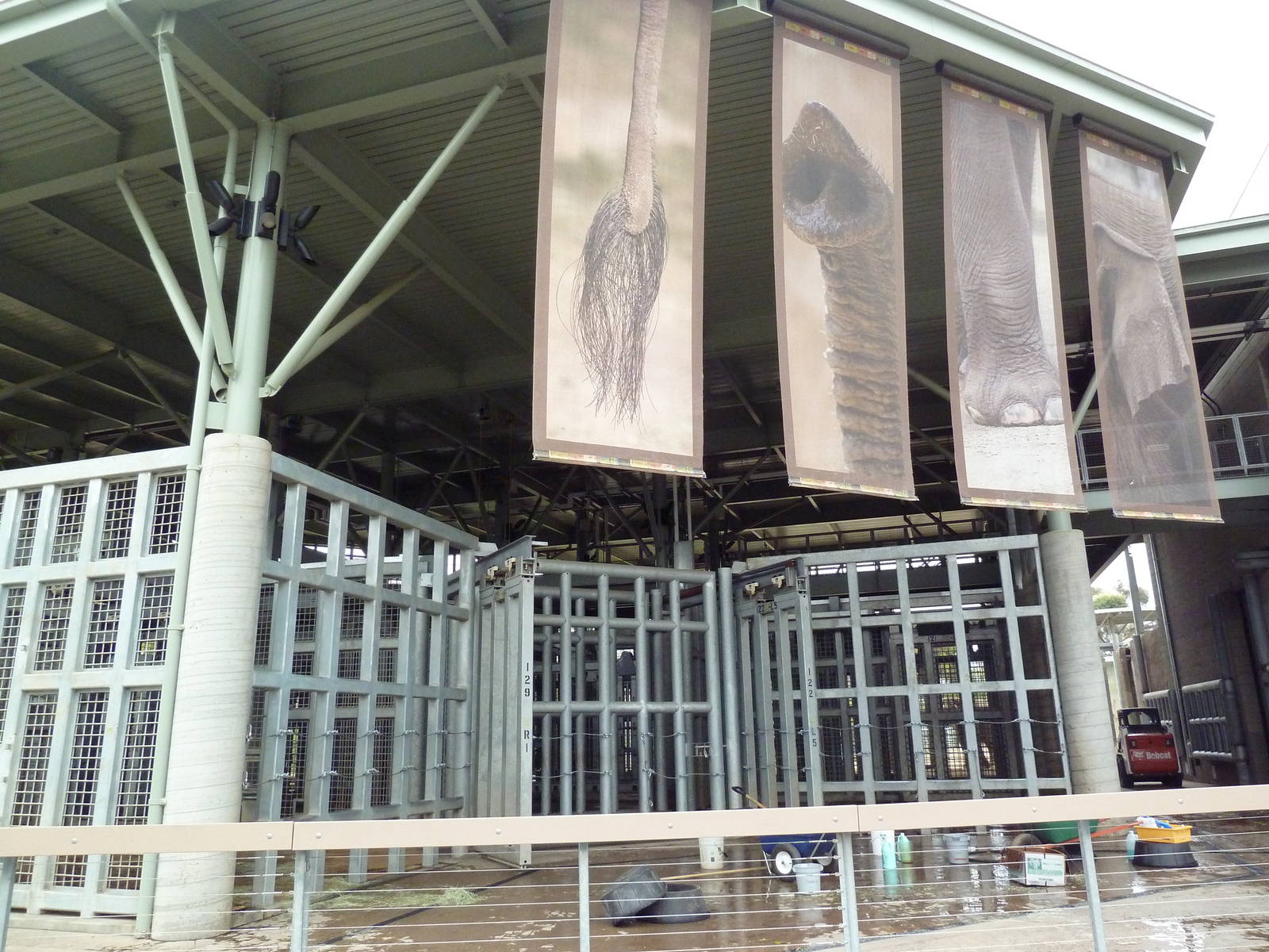 Elephant Odyssey - Asian Elephant Exhibit