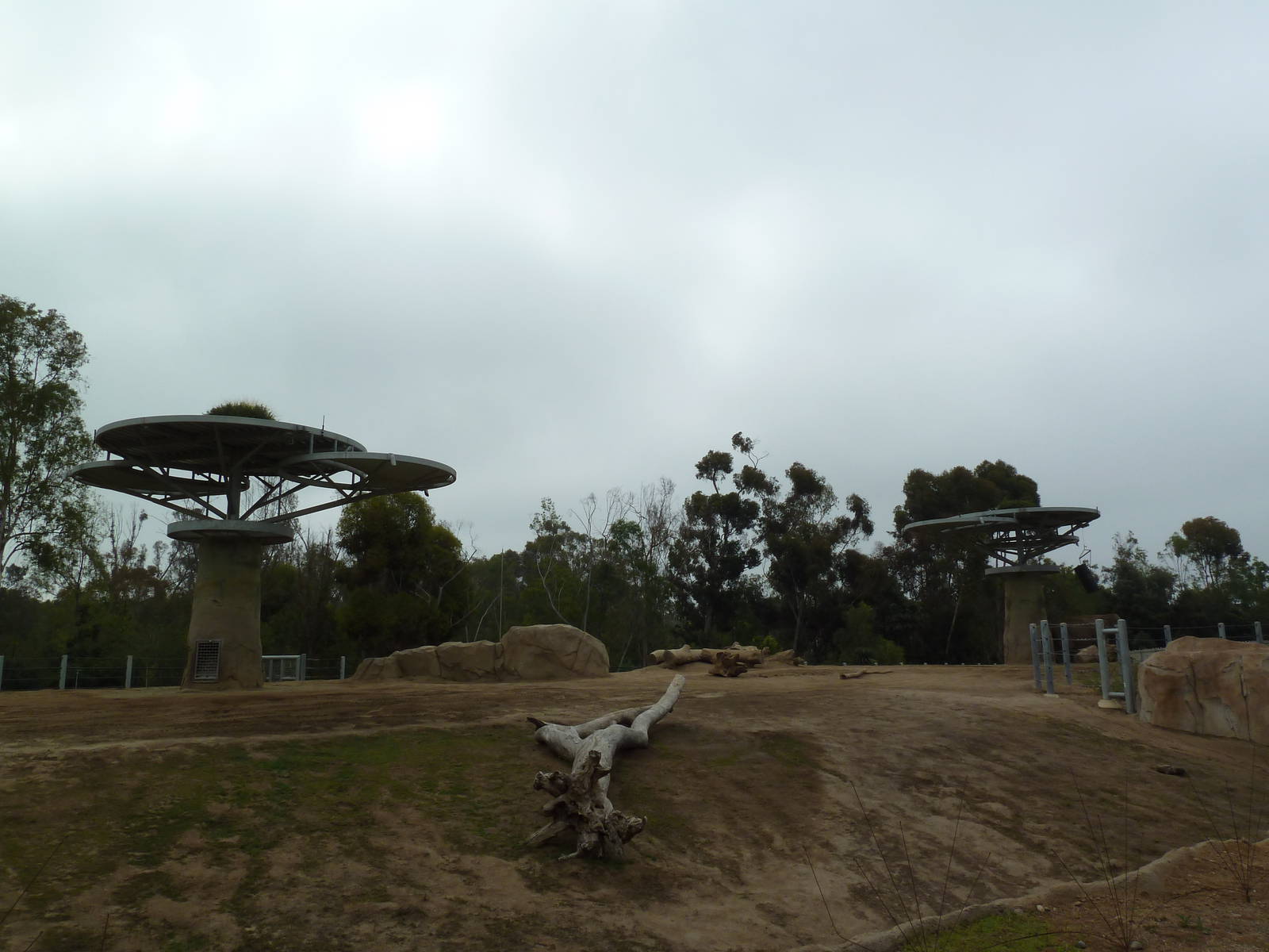 Elephant Odyssey - Asian Elephant Exhibit