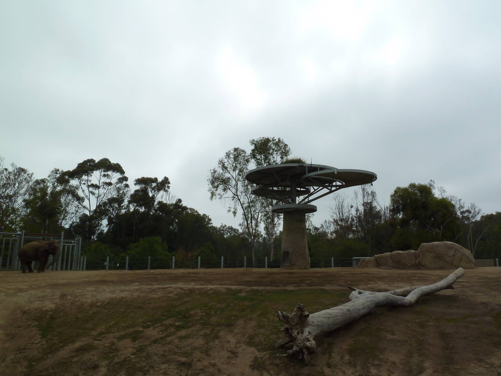 Elephant Odyssey - Asian Elephant Exhibit