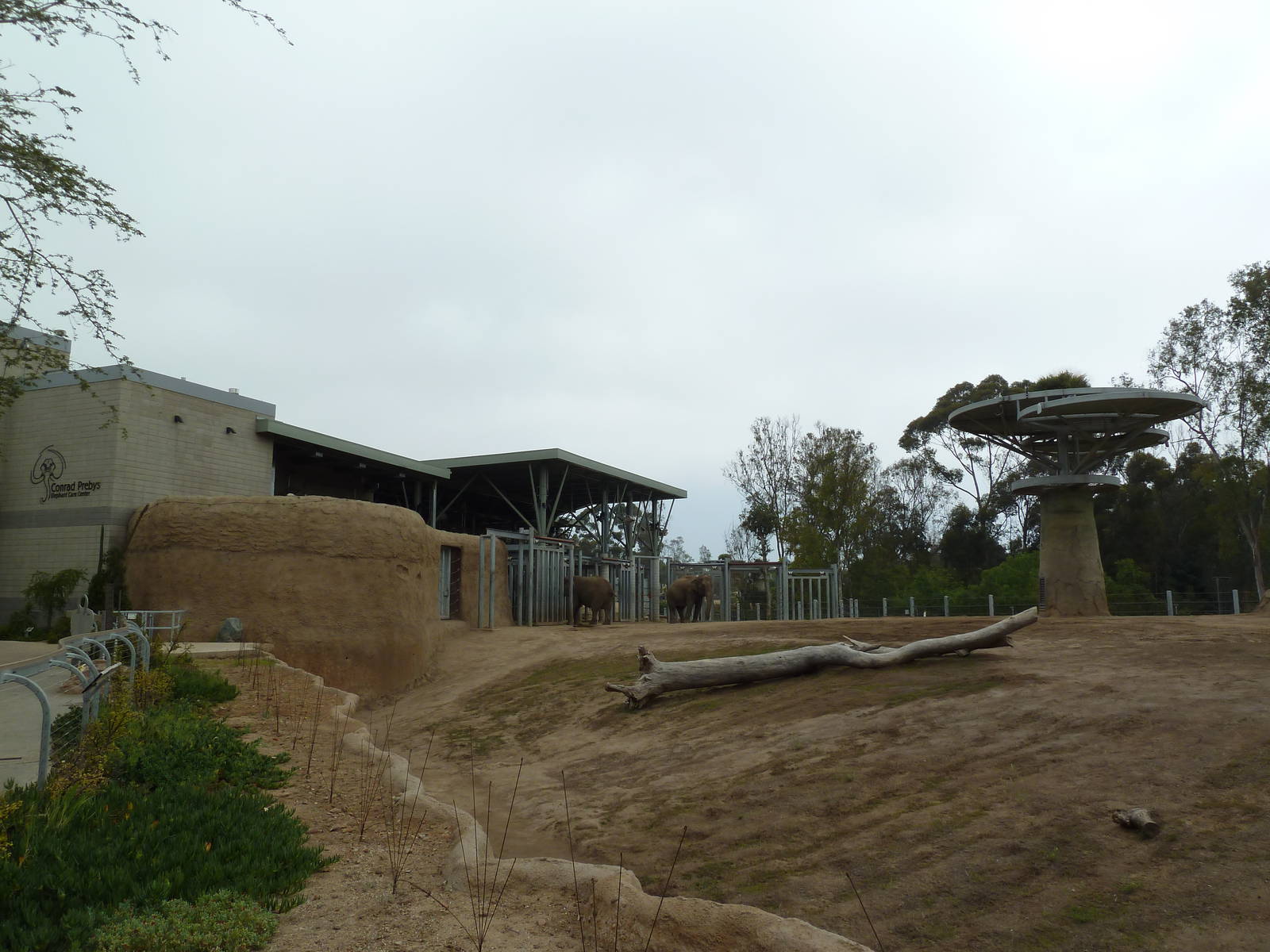 Elephant Odyssey - Asian Elephant Exhibit