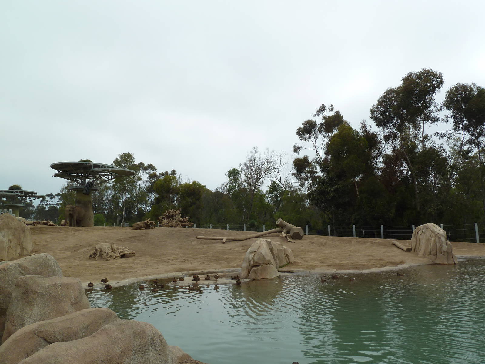 Elephant Odyssey - Asian Elephant Exhibit