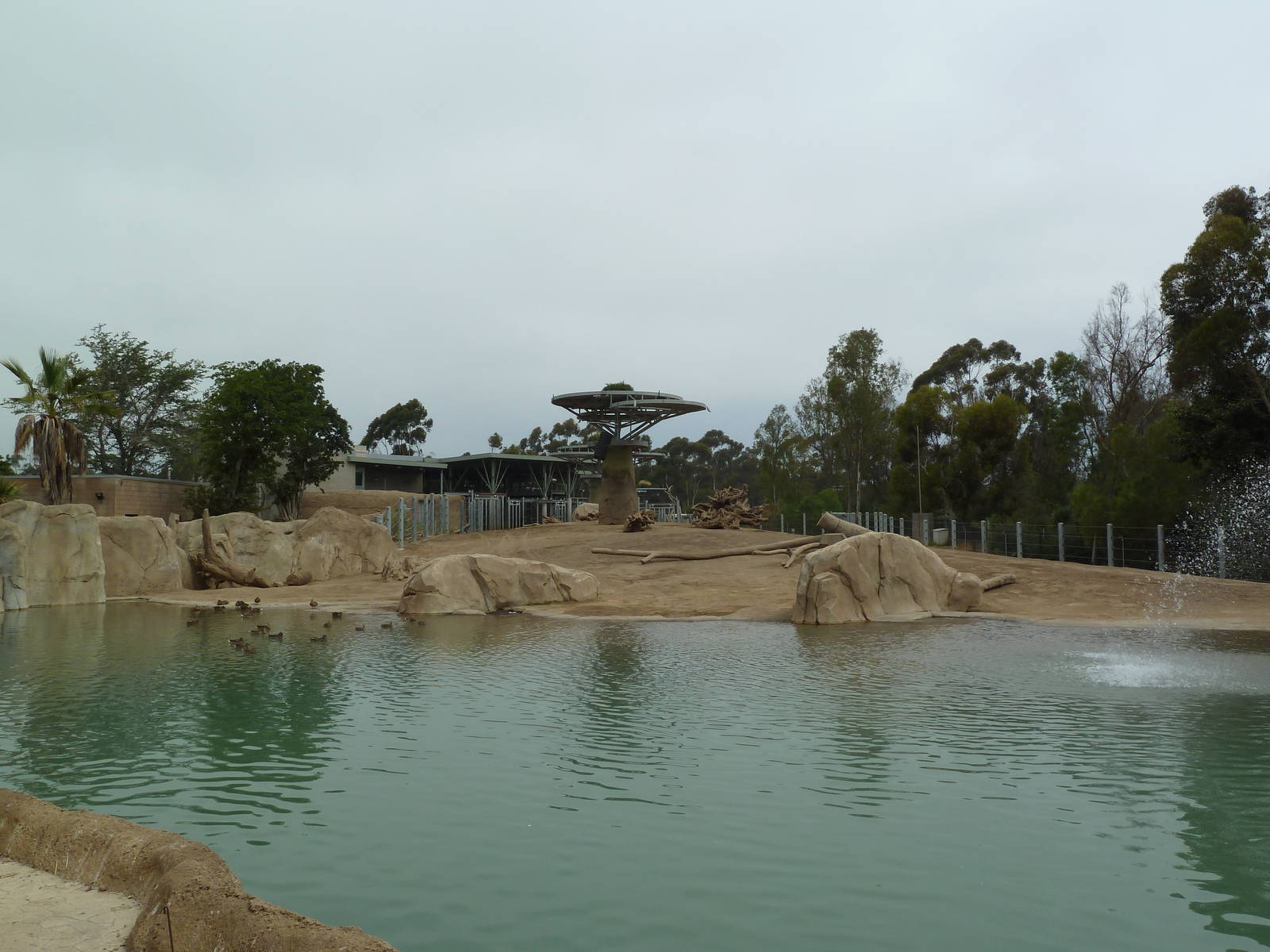 Elephant Odyssey - Asian Elephant Exhibit