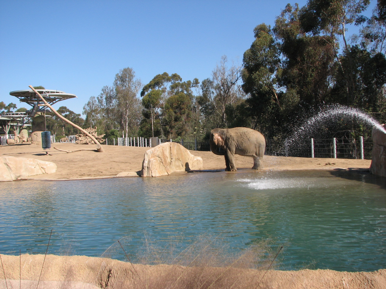 Elephant Odyssey - Asian Elephant