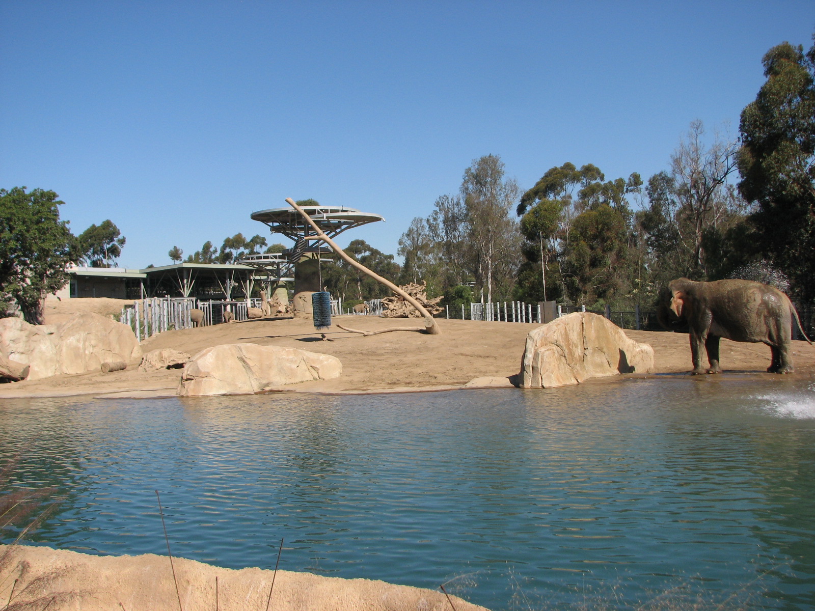 Elephant Odyssey - Asian Elephant