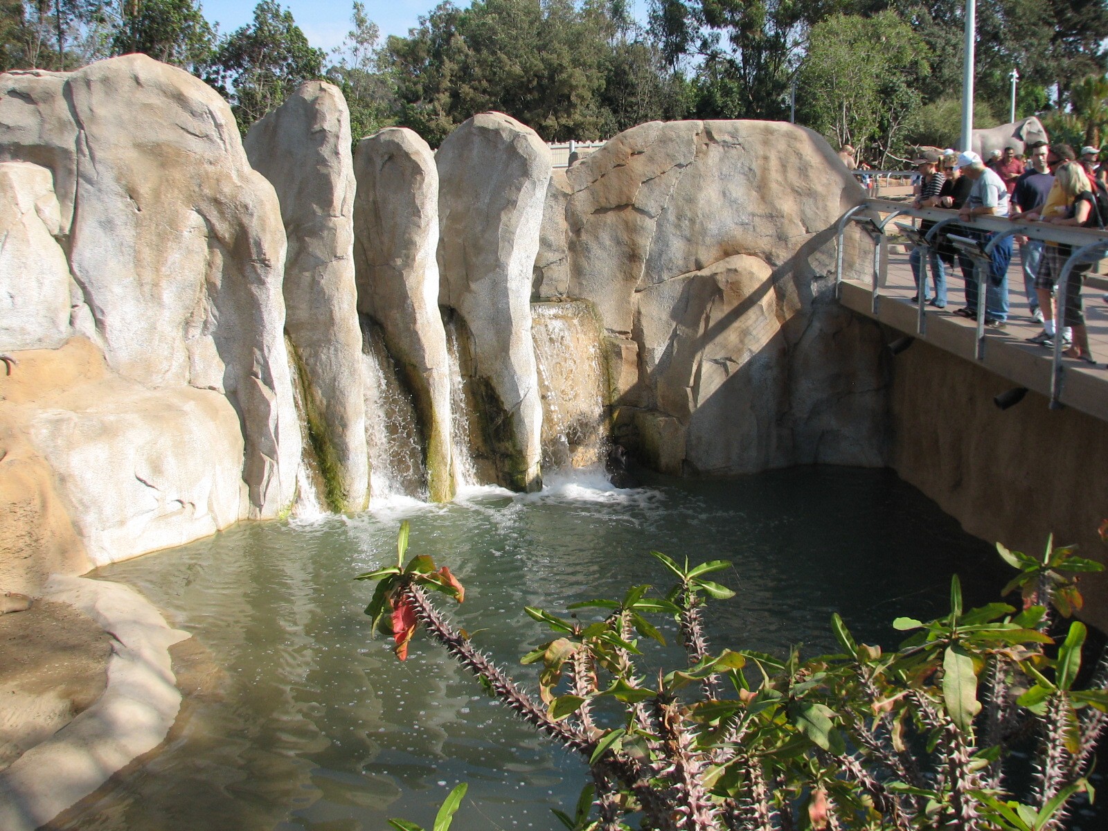 Elephant Odyssey - Bairds Tapir and Capybara Pool