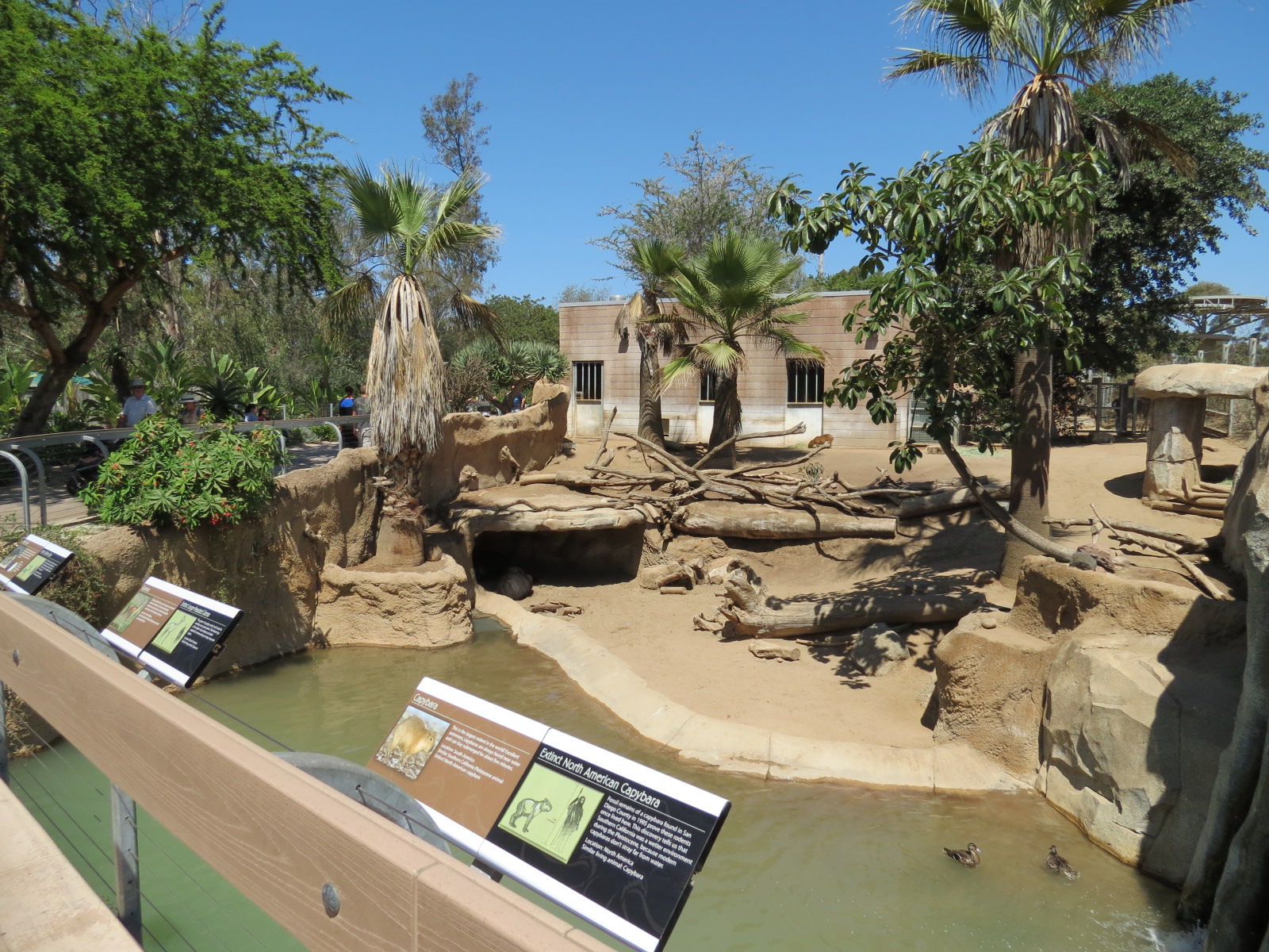 Elephant Odyssey - Bairds Tapir and Others Exhibit 1