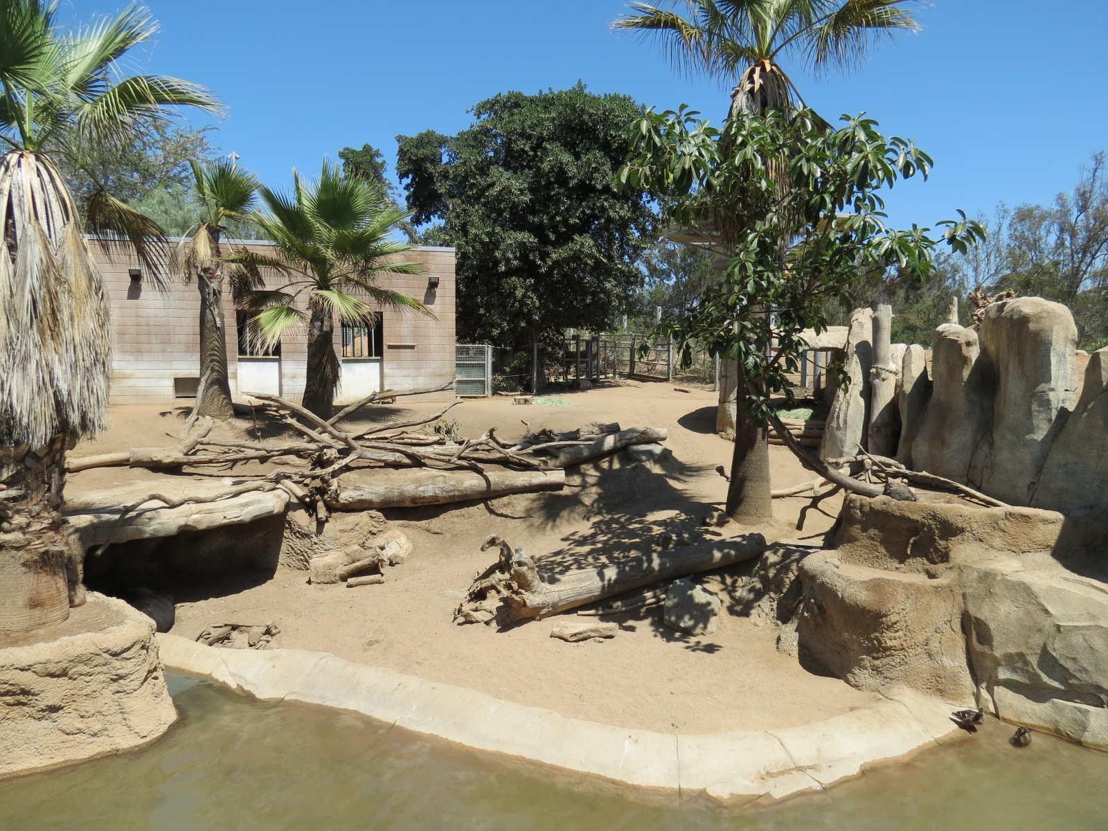 Elephant Odyssey - Bairds Tapir and Others Exhibit 1