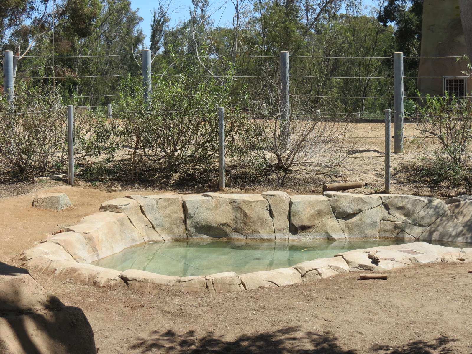 Elephant Odyssey - Bairds Tapir and Others Exhibit 2