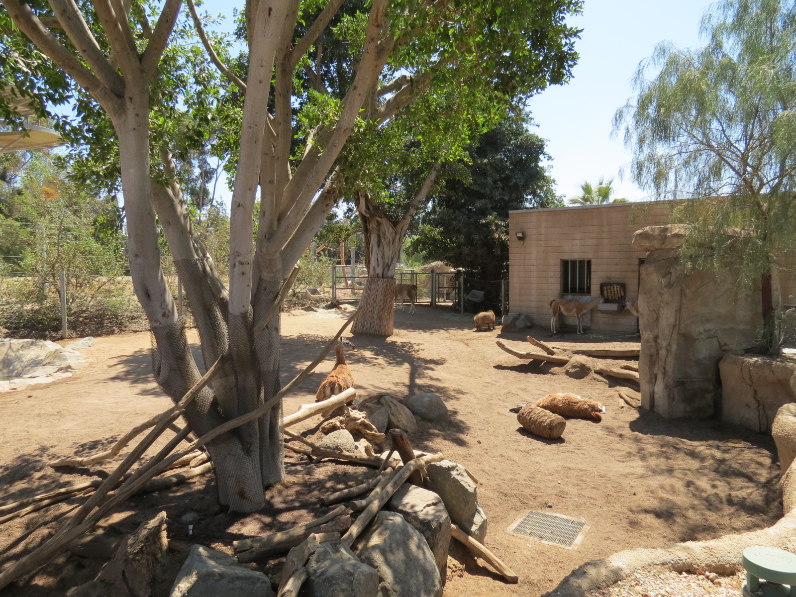 Elephant Odyssey - Bairds Tapir and Others Exhibit 2