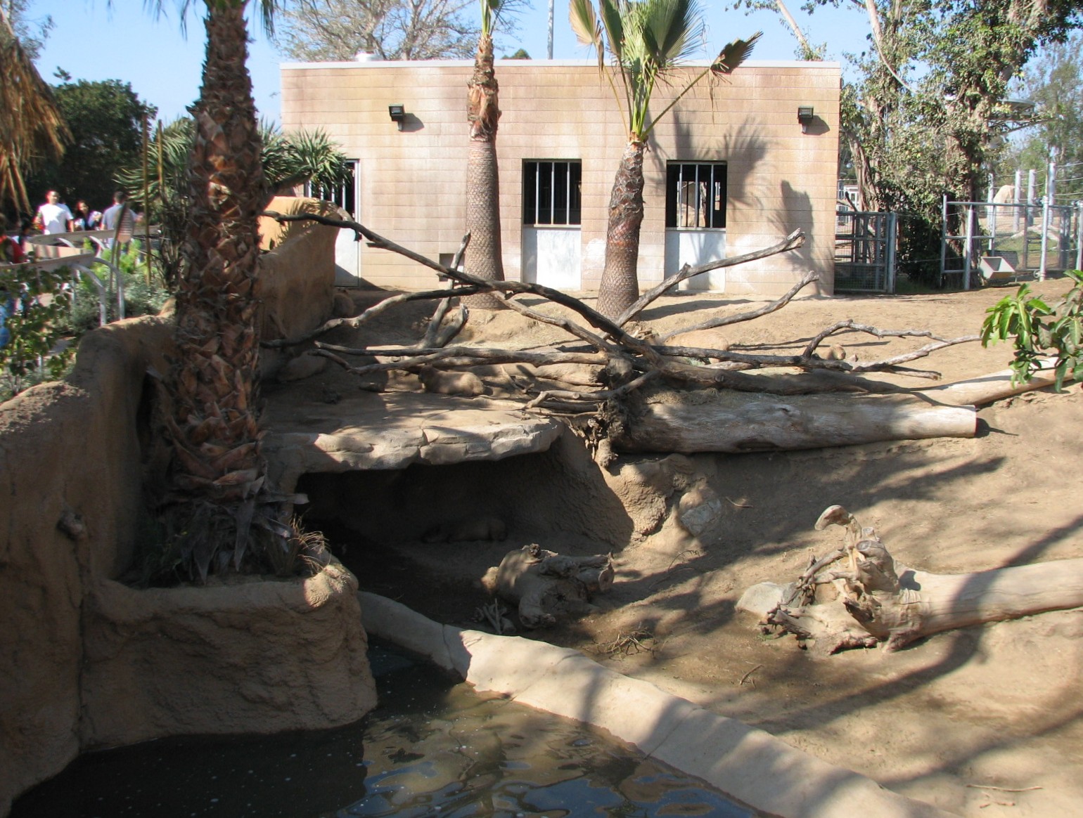 Elephant Odyssey - Bairds Tapir, Capybara, and Guanaco Exhibit