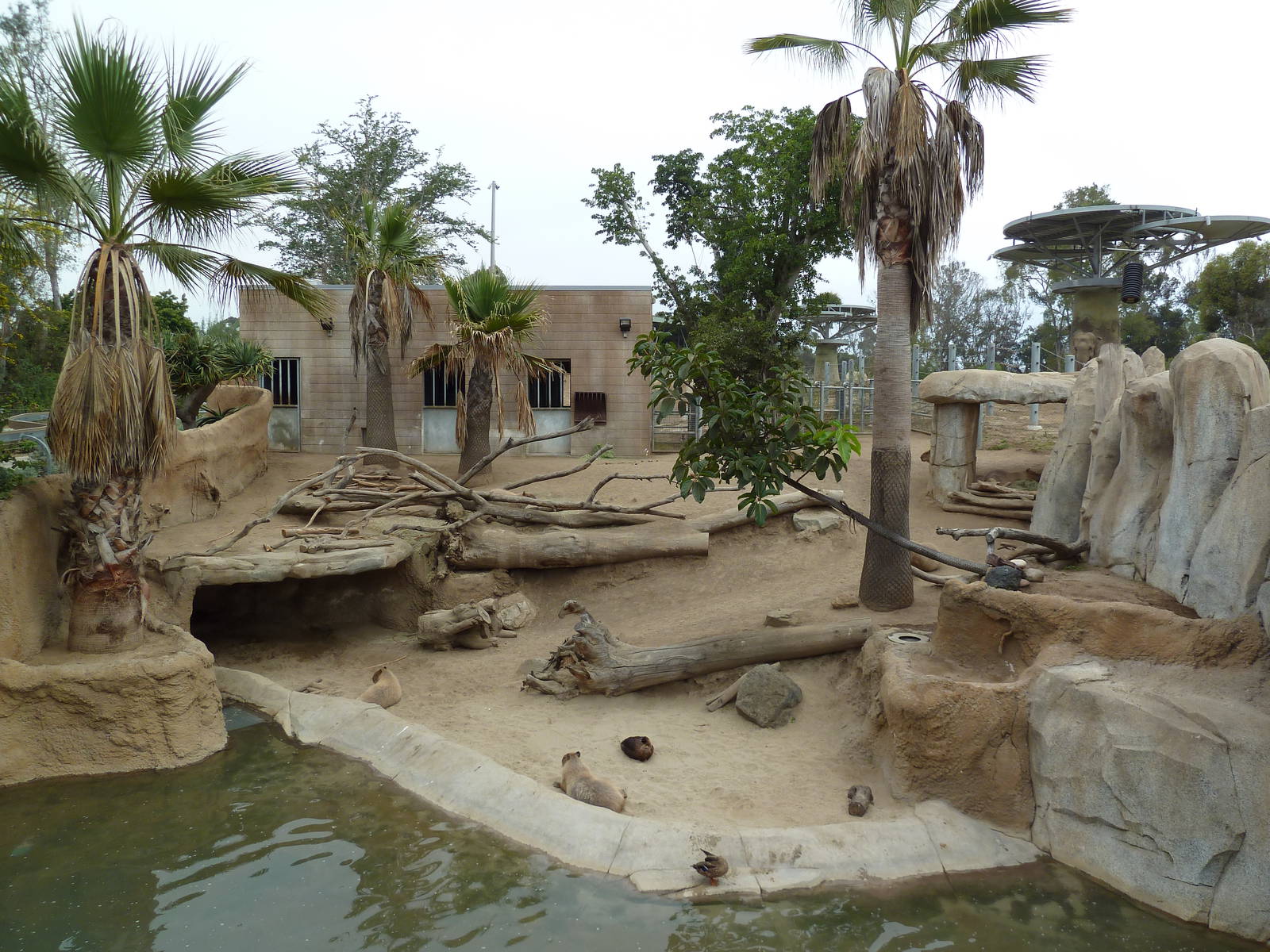 Elephant Odyssey - Baird's Tapir/Guanaco/Capybara Exhibit