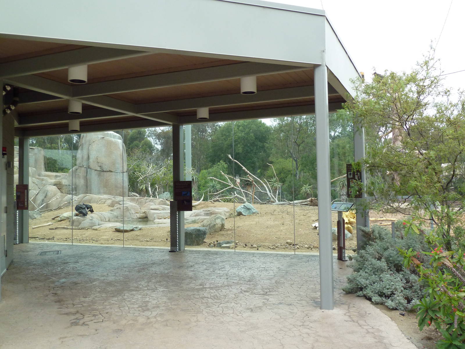 Elephant Odyssey - California Condor Exhibit