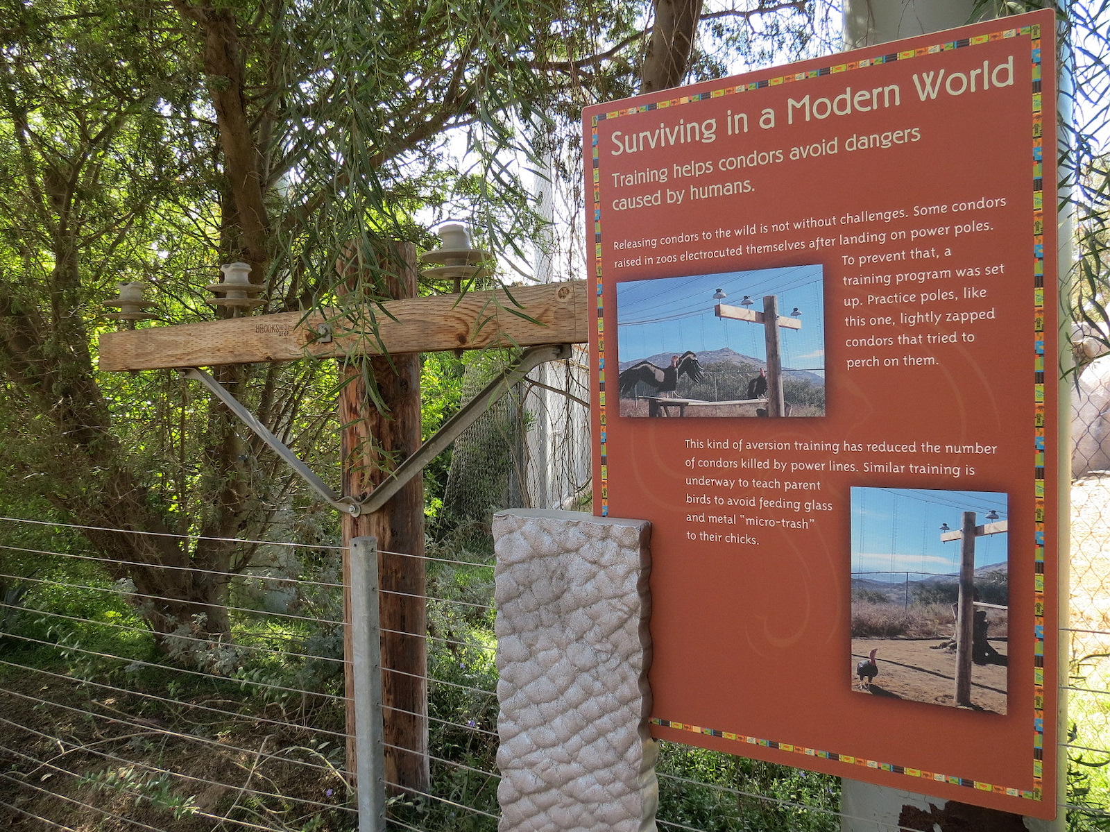 Elephant Odyssey - California Condor Exhibit