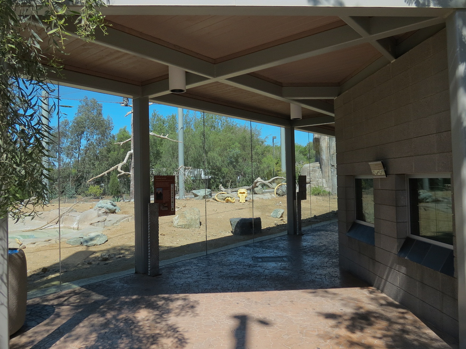 Elephant Odyssey - California Condor Exhibit