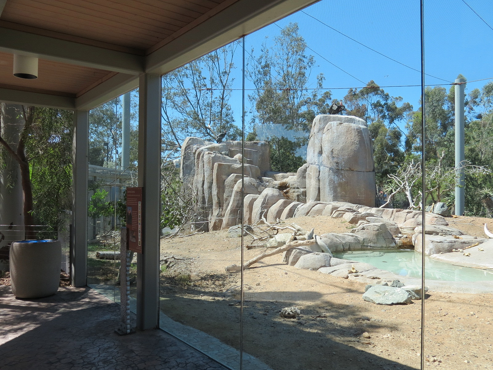 Elephant Odyssey - California Condor Exhibit