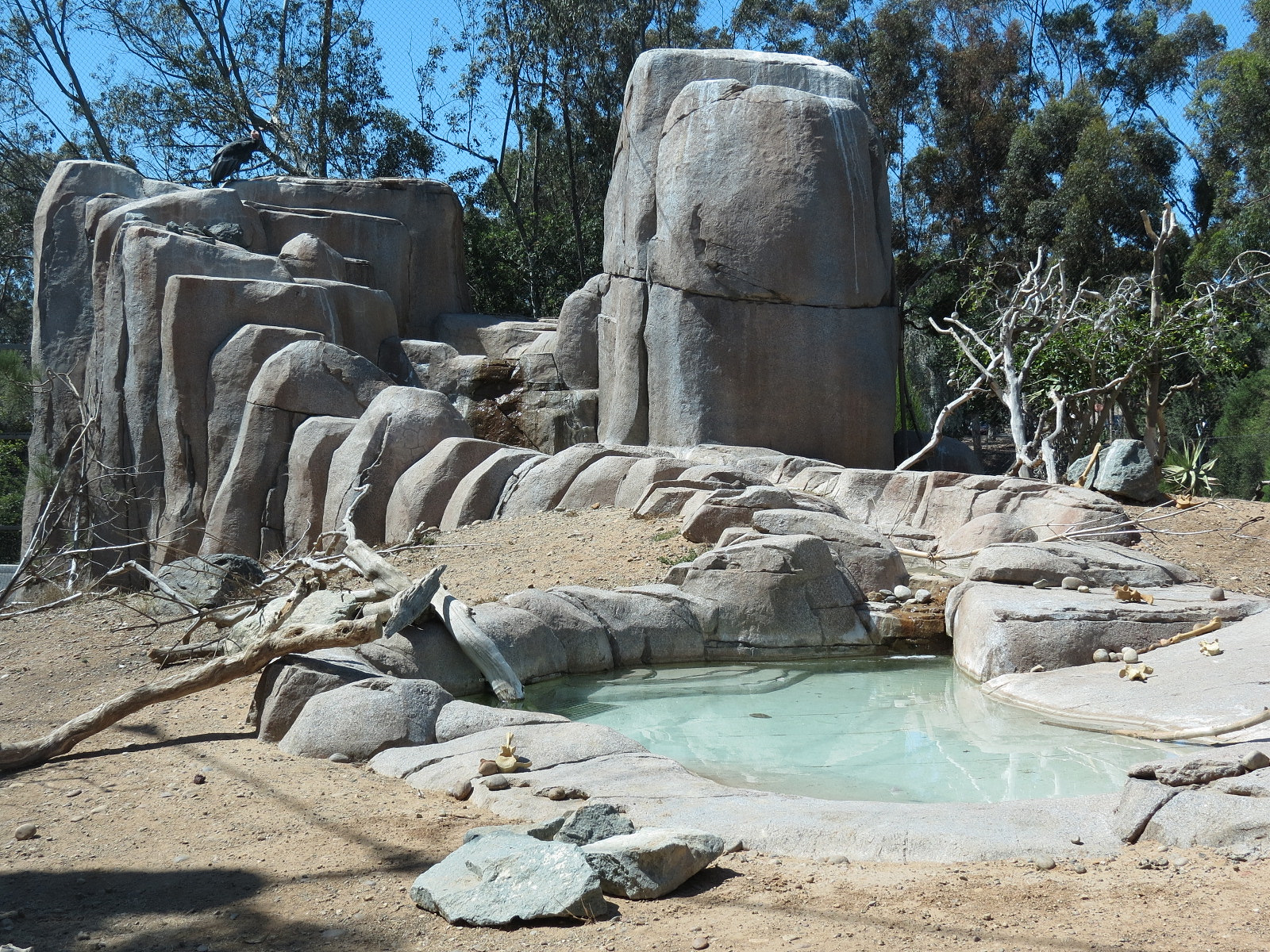 Elephant Odyssey - California Condor Exhibit