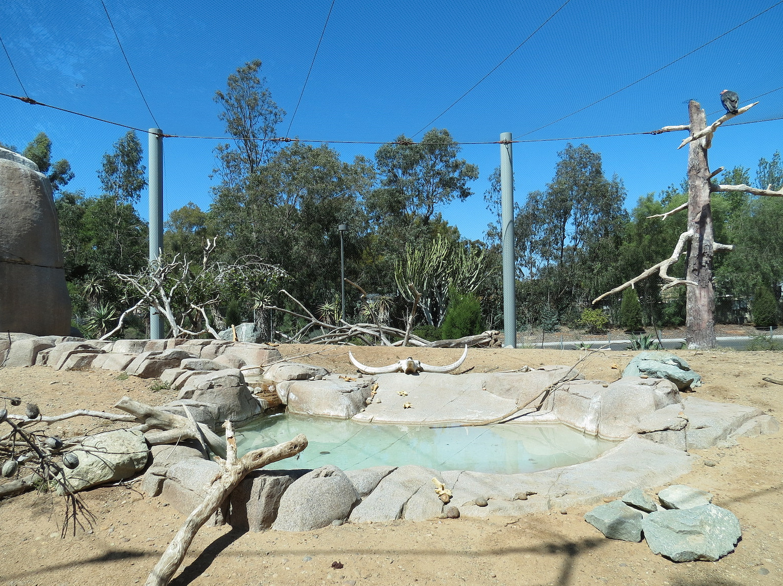 Elephant Odyssey - California Condor Exhibit