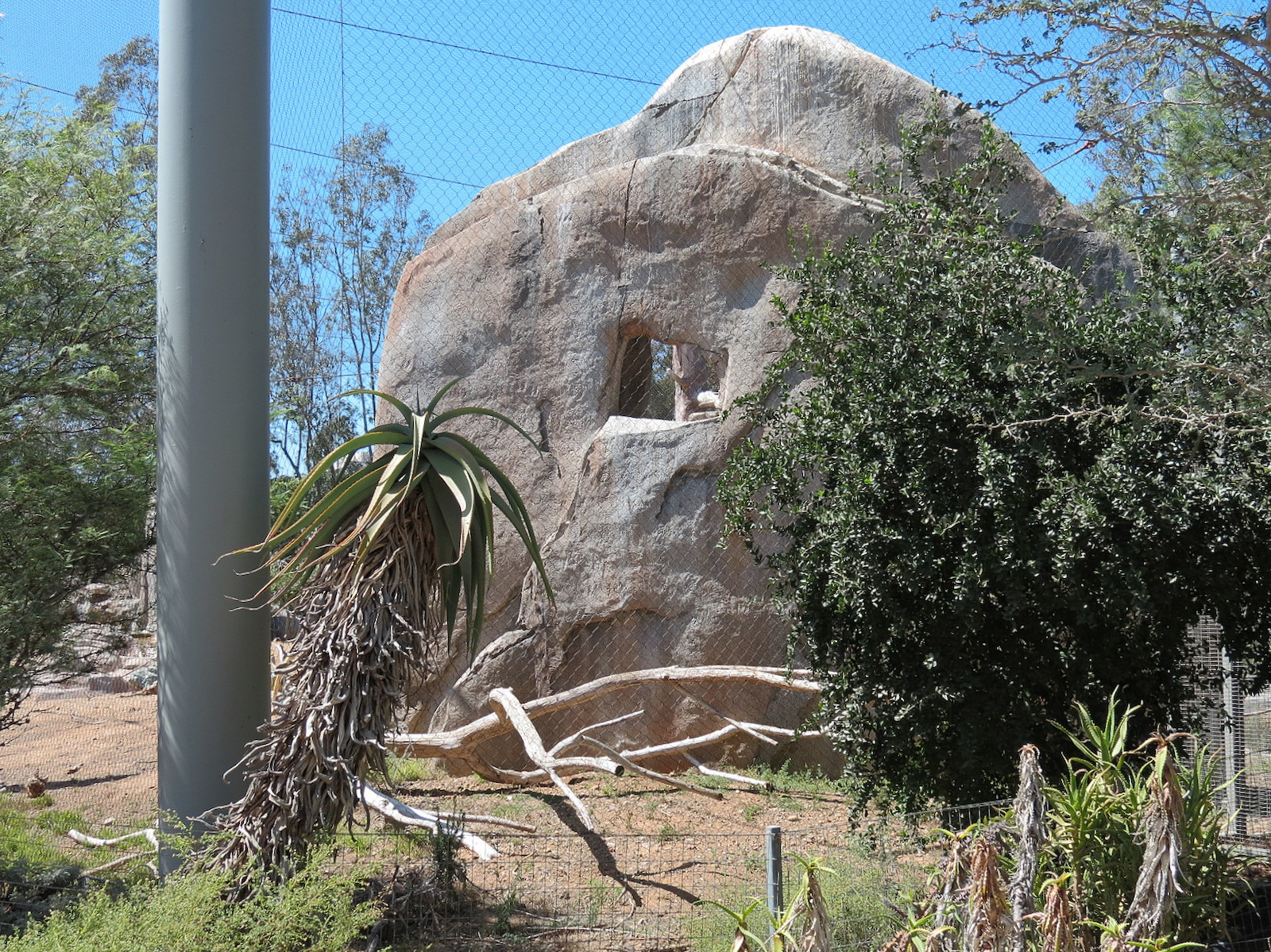 Elephant Odyssey - California Condor Exhibit