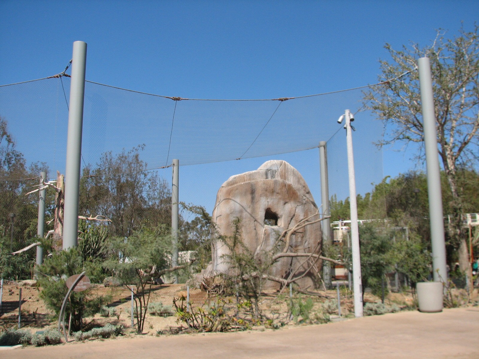 Elephant Odyssey - California Condor Exhibit