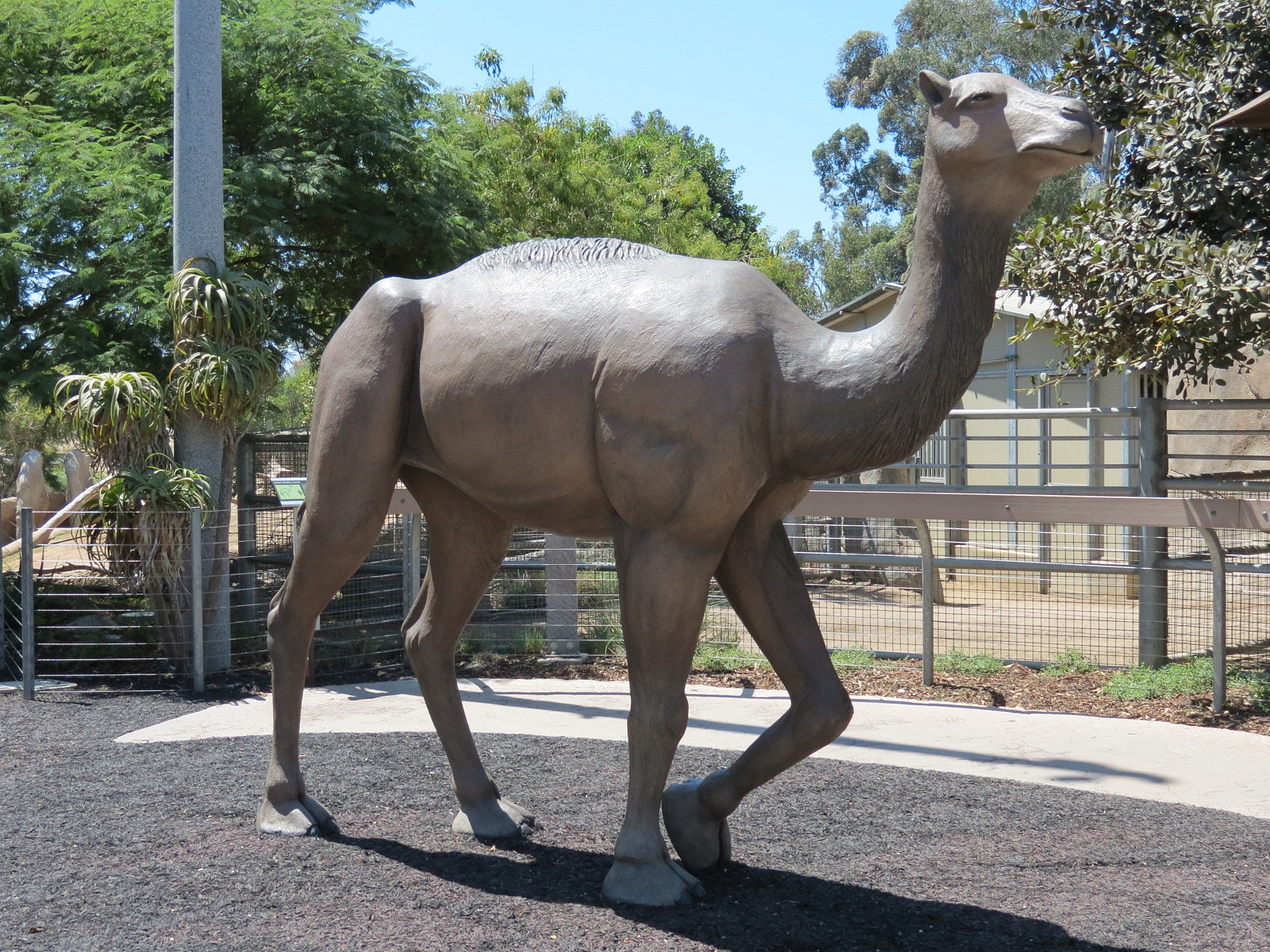Elephant Odyssey - Camel Statue