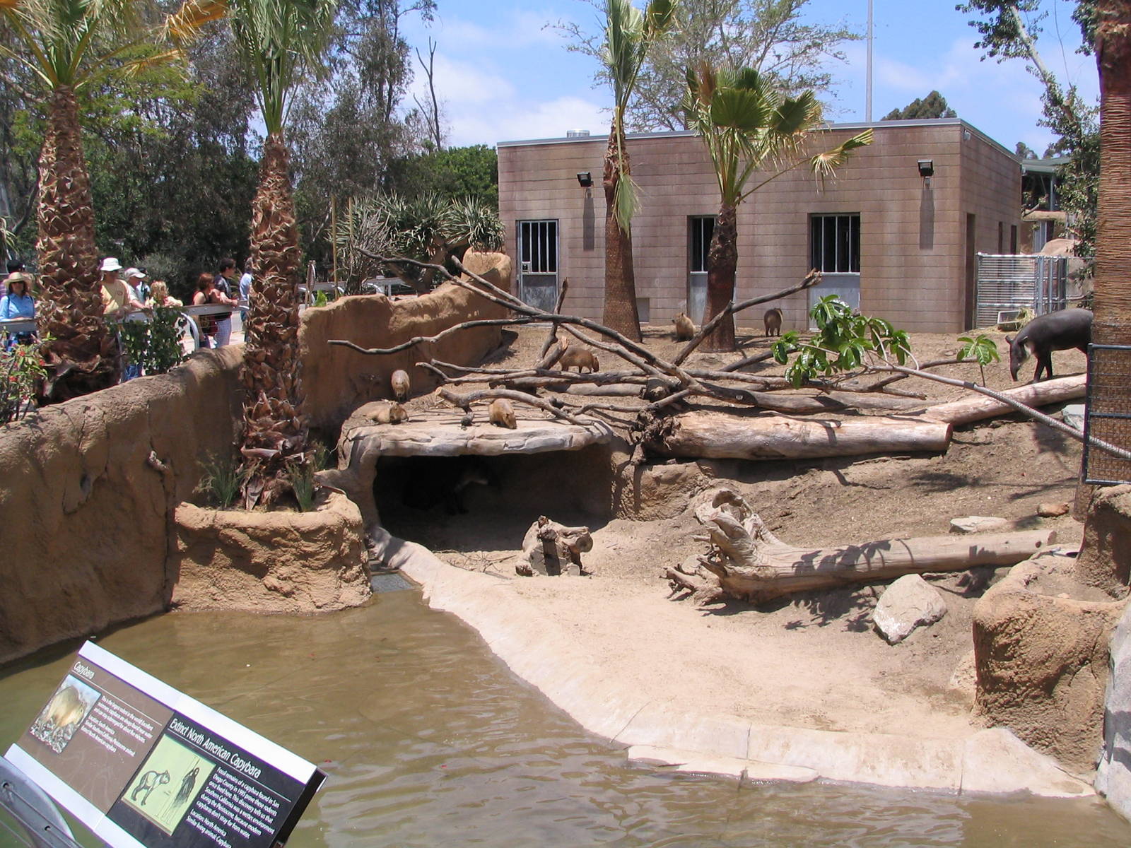 Elephant Odyssey - Capybara and Tapir Exhibit