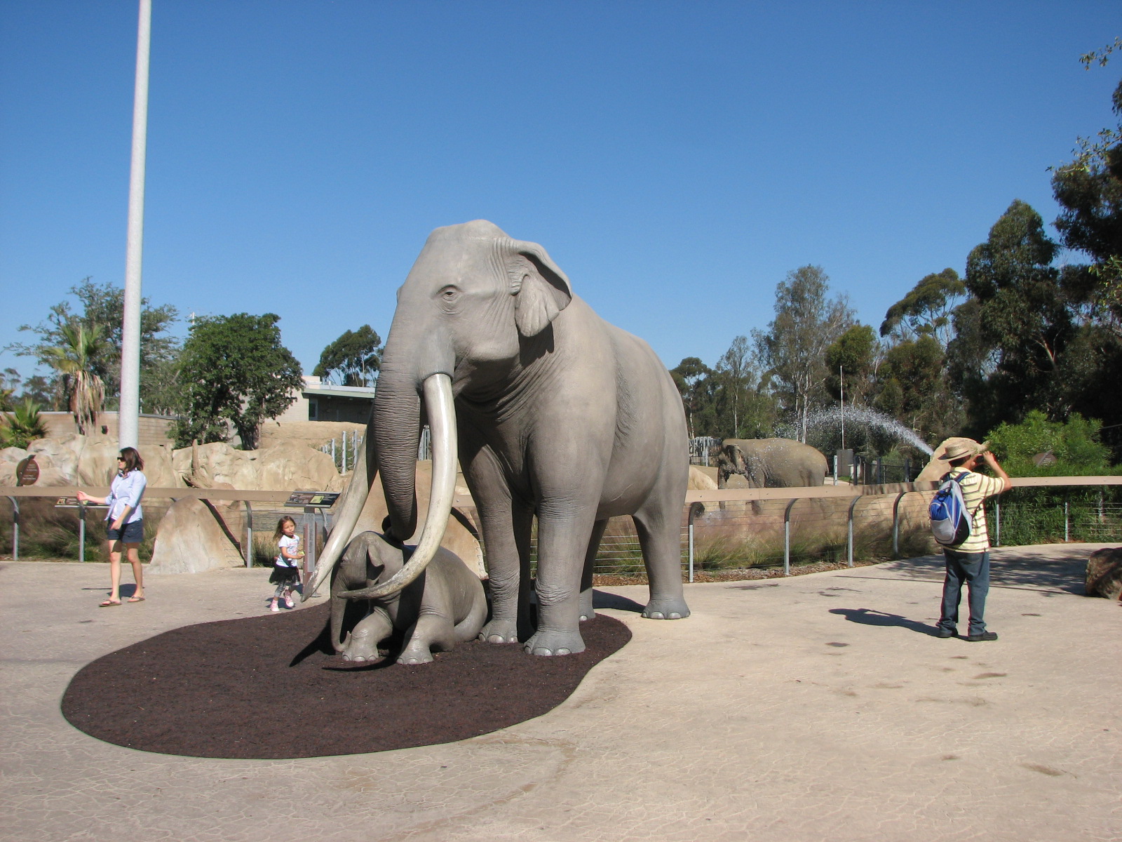 Elephant Odyssey - Columbian Mammoth Statues