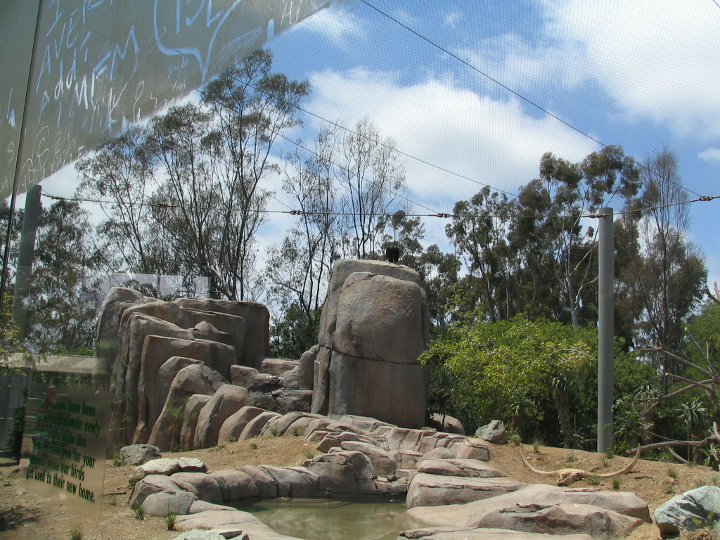 Elephant Odyssey - Condor Exhibit