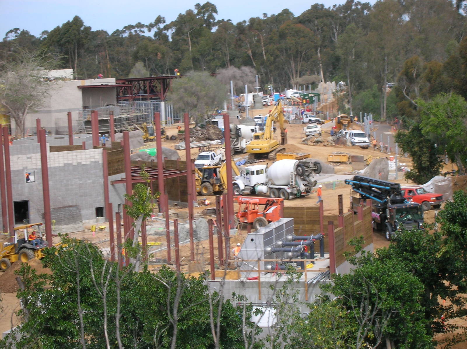 Elephant Odyssey Construction Update 3-3-09