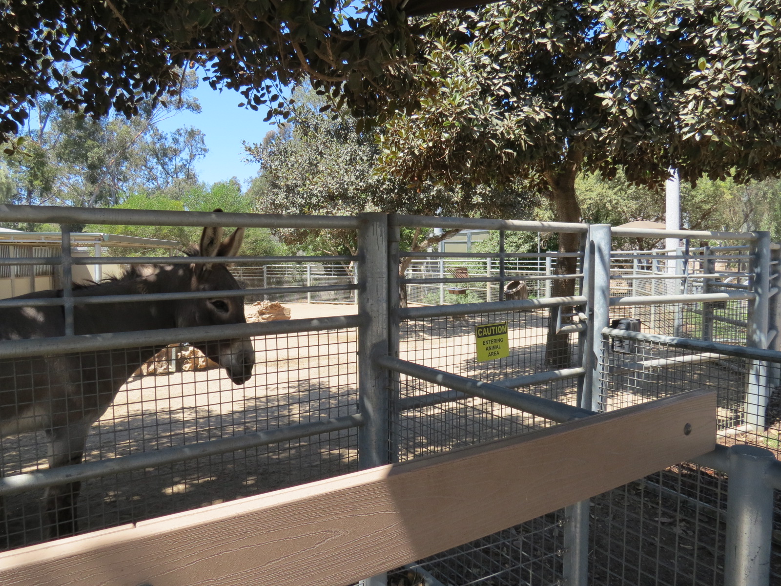Elephant Odyssey - Domestic Horse and Burro Exhibit