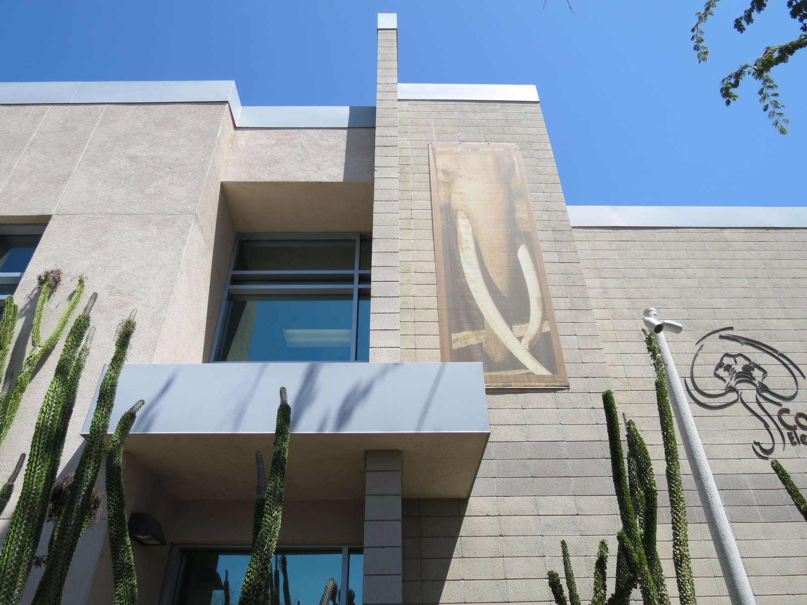 Elephant Odyssey - Elephant Care Center