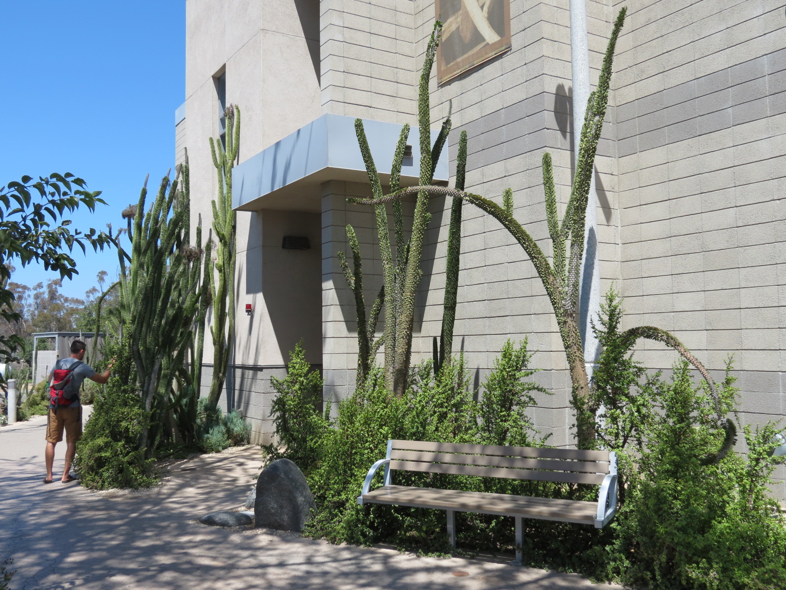 Elephant Odyssey - Elephant Care Center