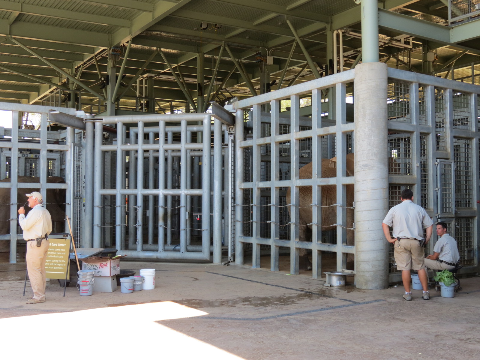 Elephant Odyssey - Elephant Care Center