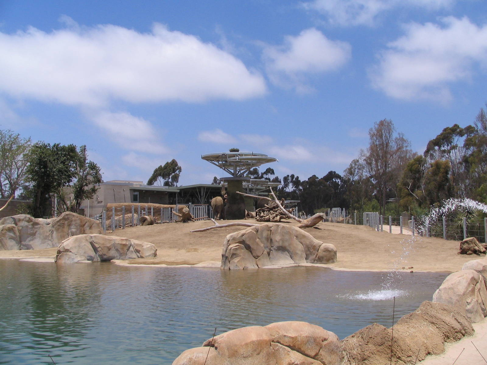 Elephant Odyssey - Elephant Pool