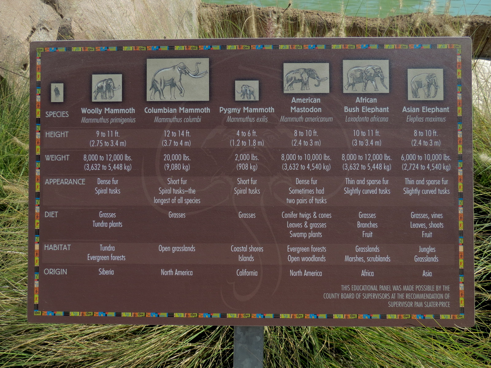 Elephant Odyssey - Elephant Sign